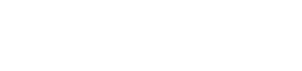 BridgeWise
