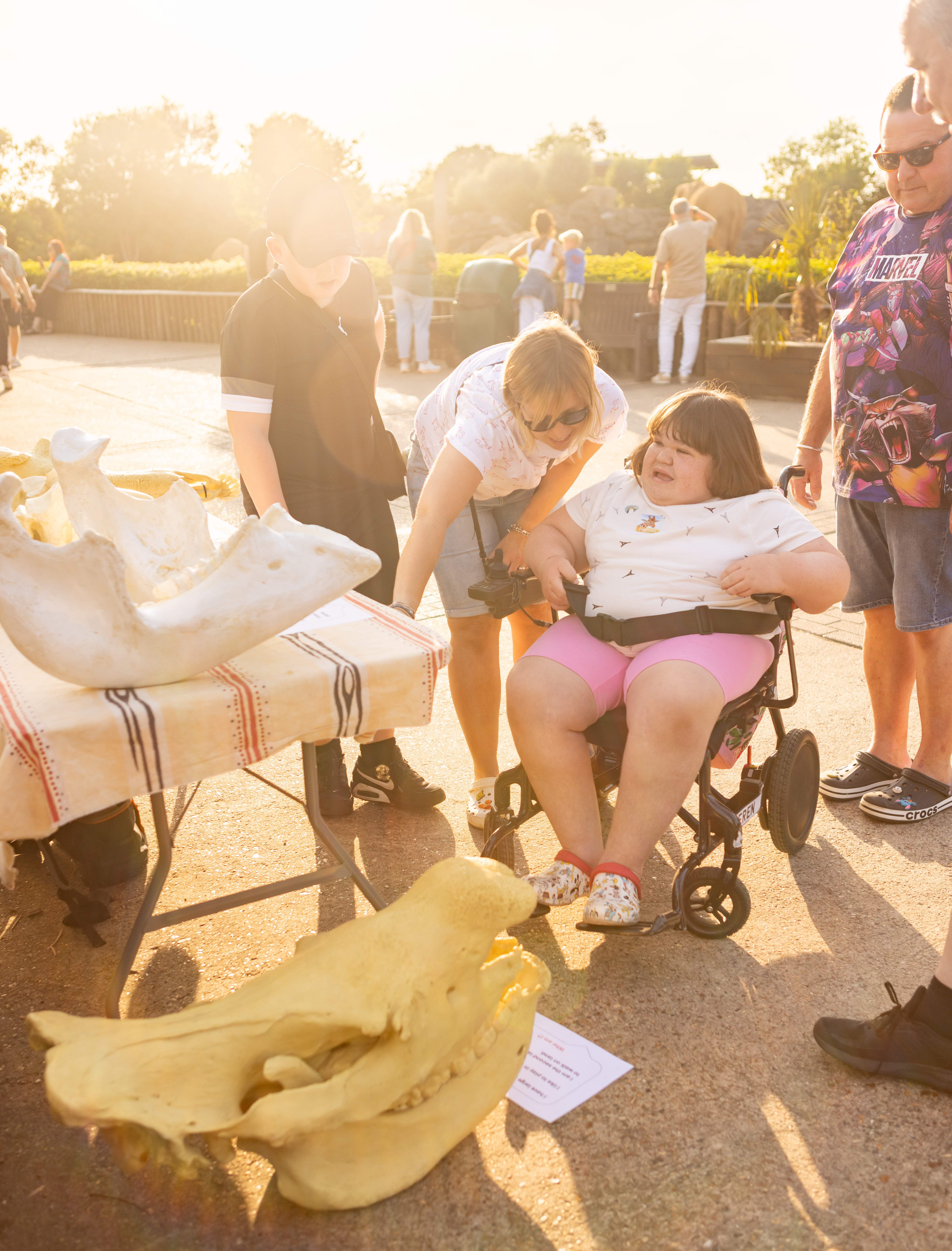 Child in a wheelchair with a carer looking at exhibit bones at a SEND Fest event in golden light