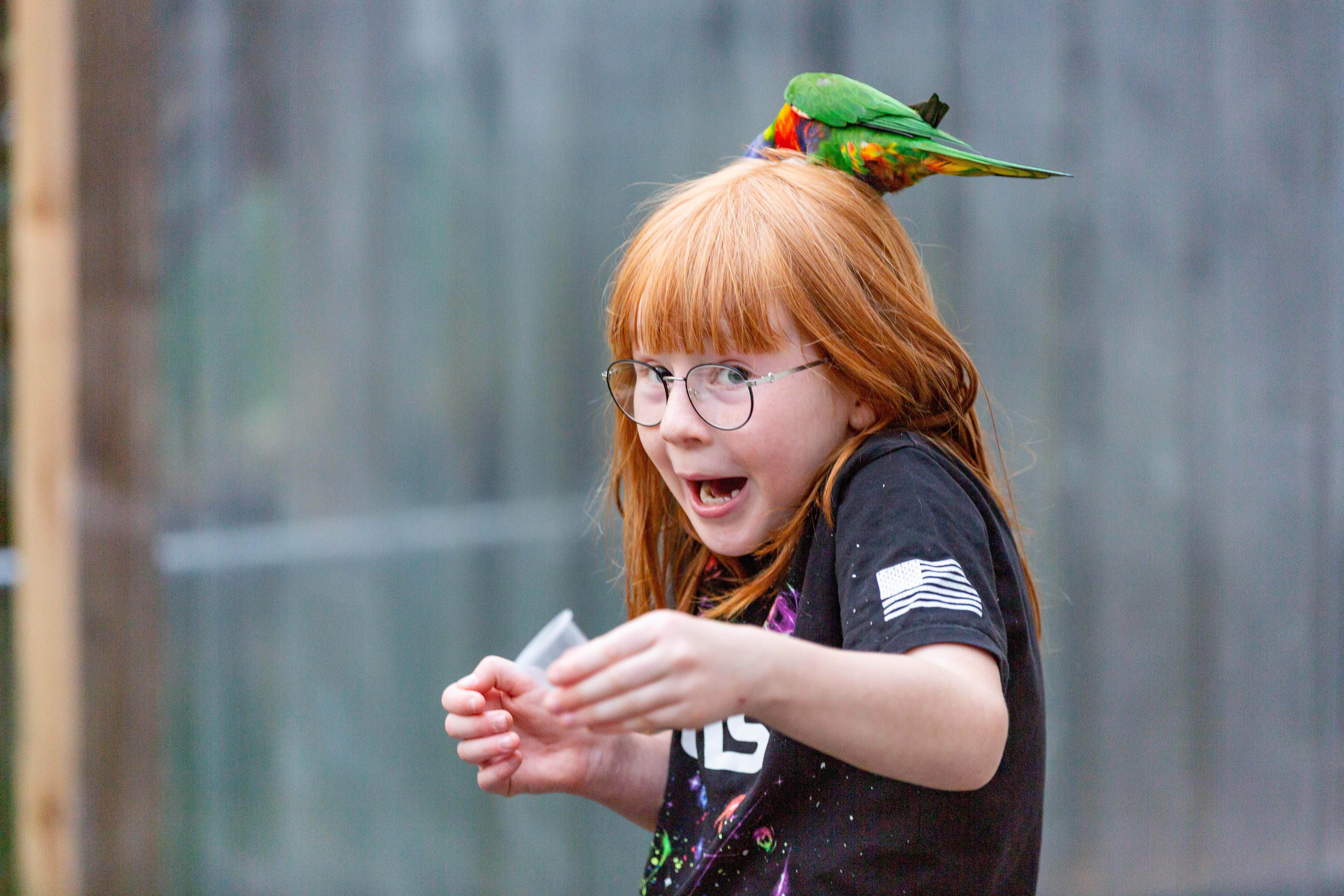 Girl with red hair and a parrot perched on her head, looking delighted