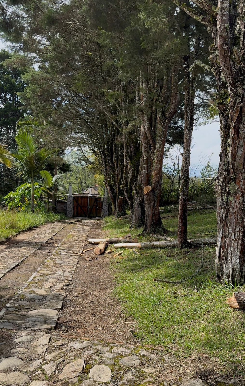 Cajamarca - Miniatura 2