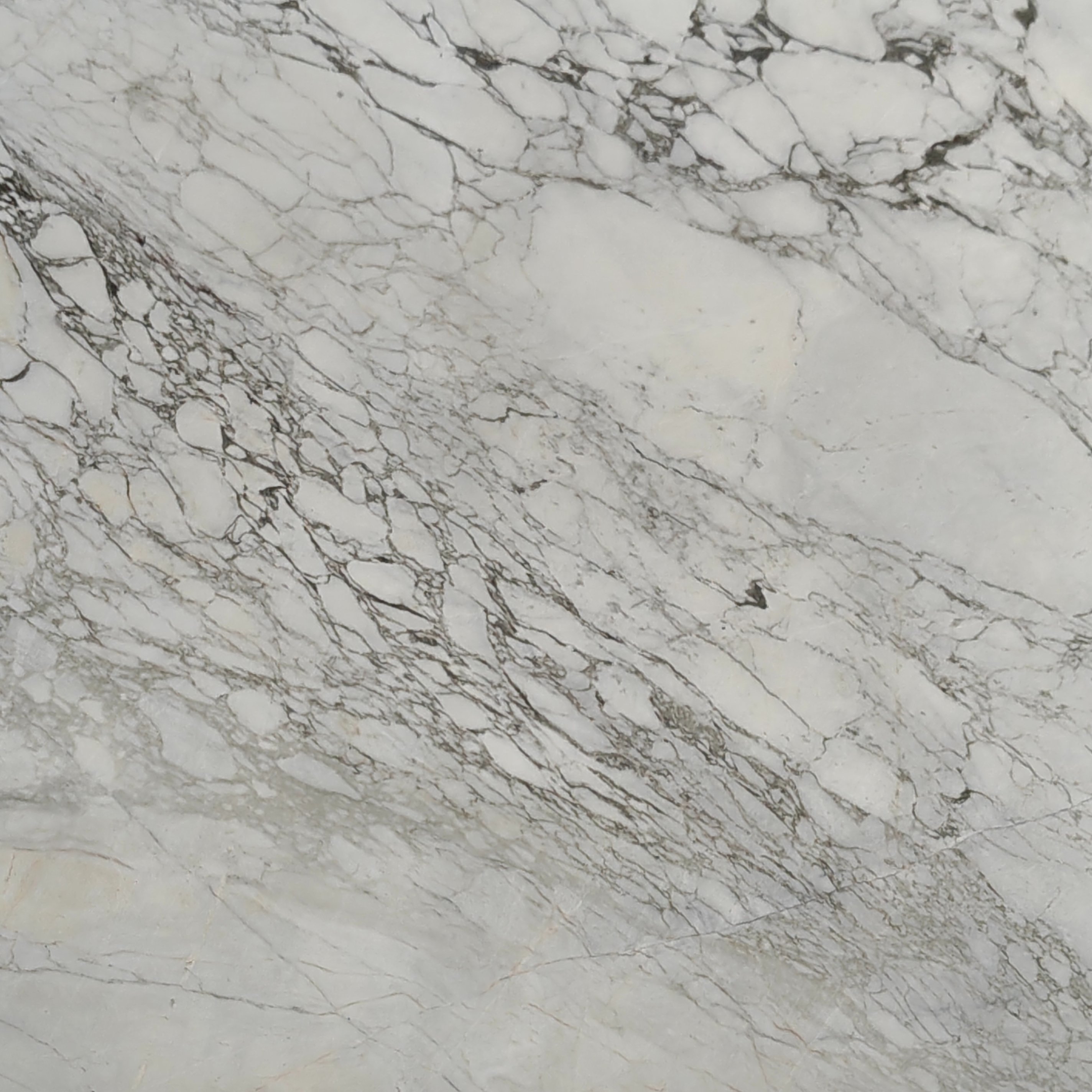 Calacutta White white marble texture
