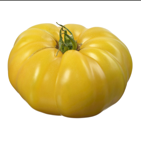 Tomate cœureuse jaune