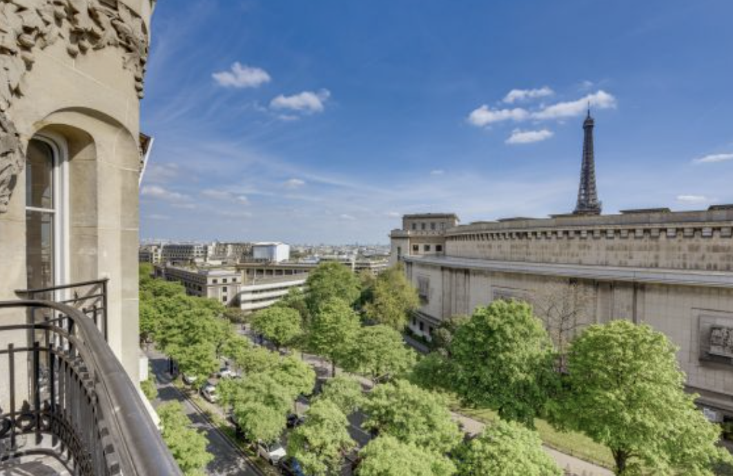 Vue sur les arbres et la Tour Eiffel