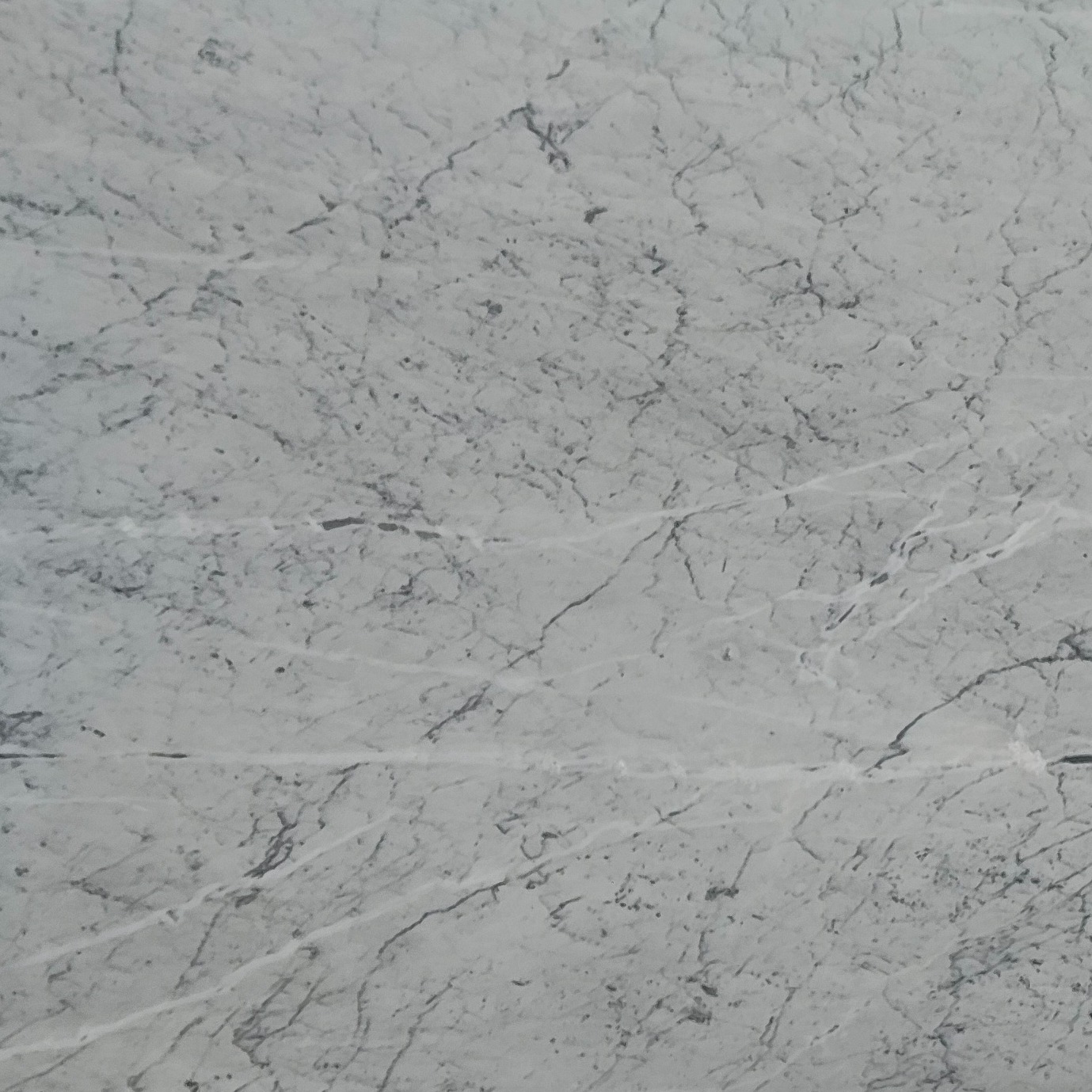 Cararra White white marble texture