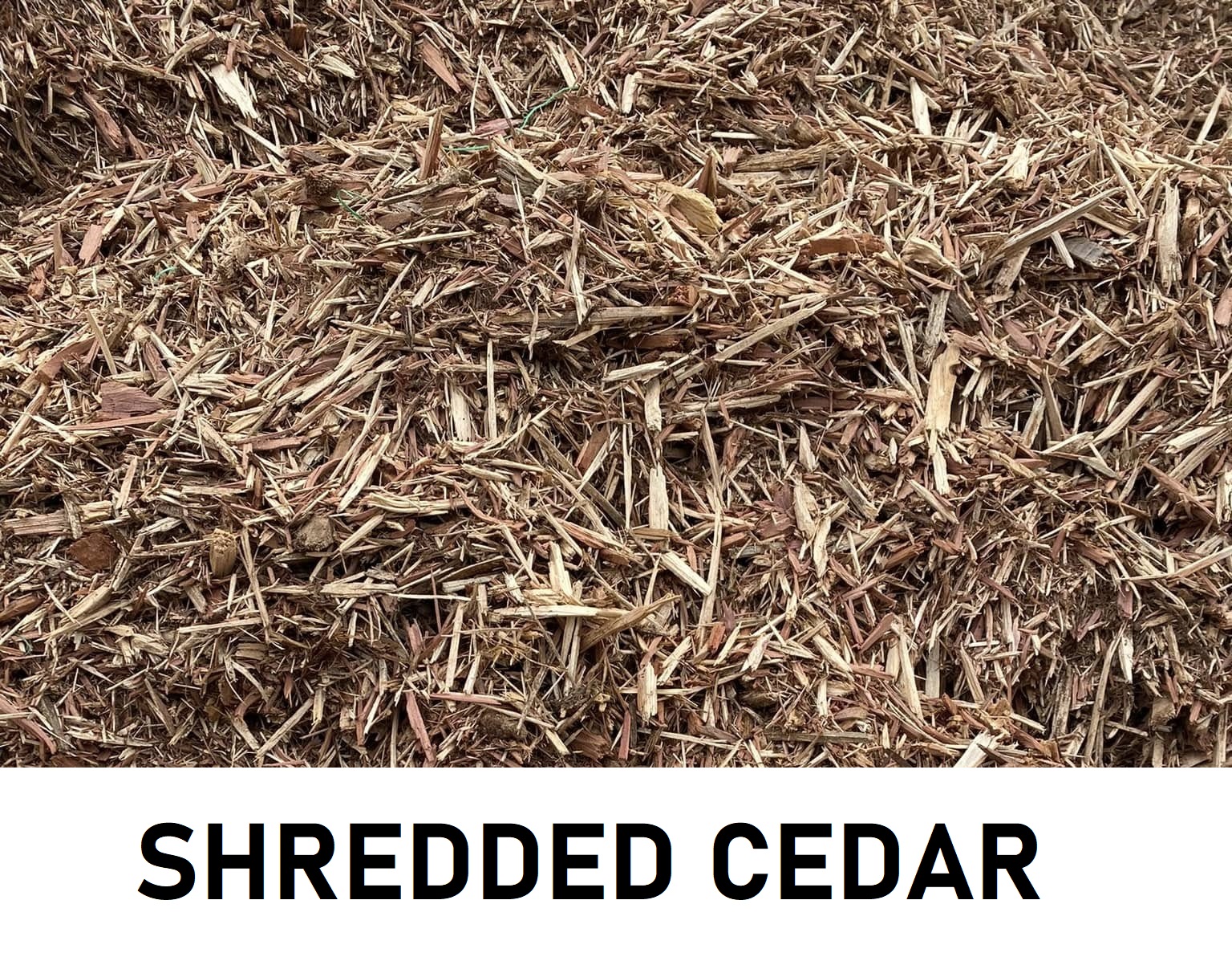 Shredded Cedar