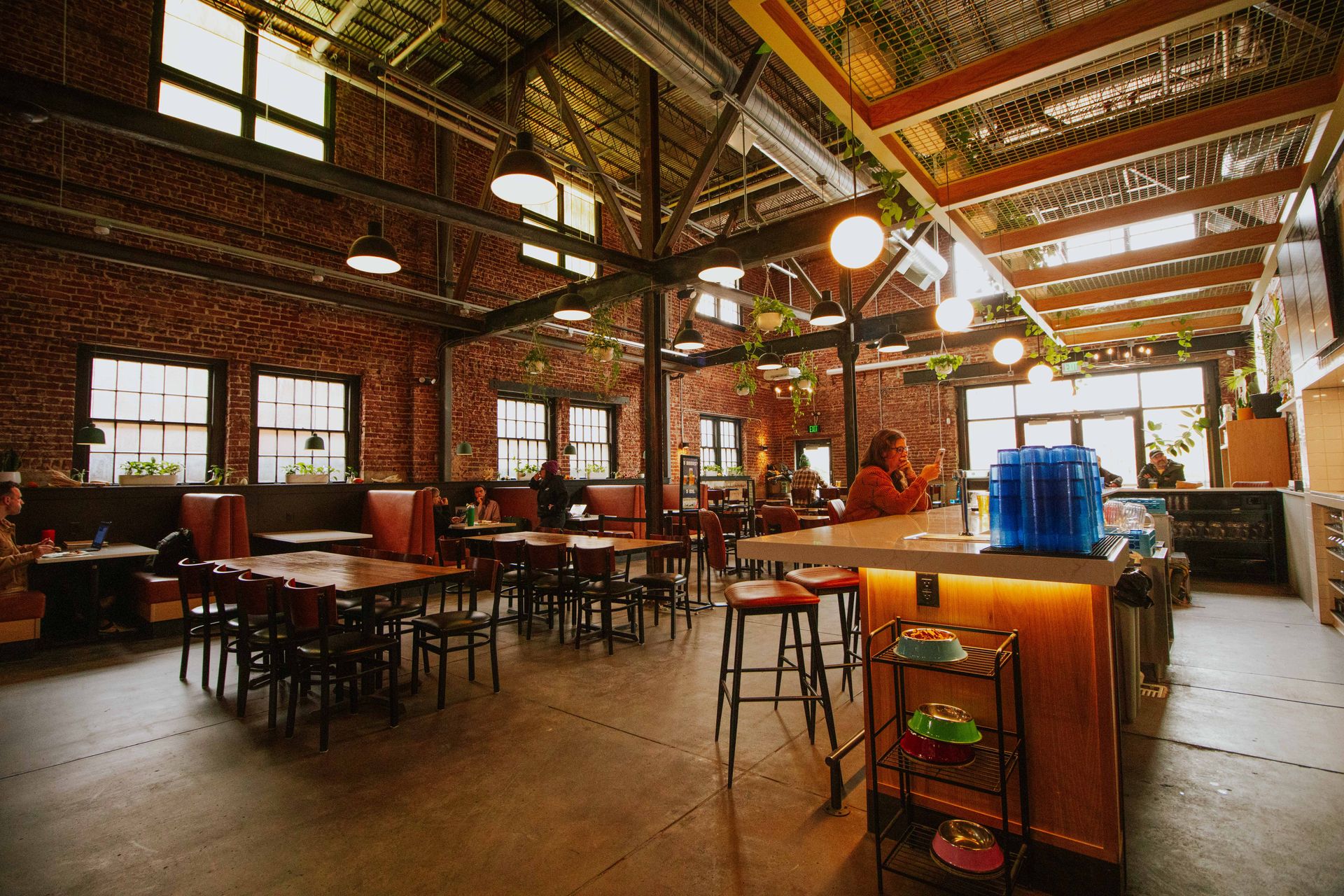 Cerebral Brewing - West Highlands