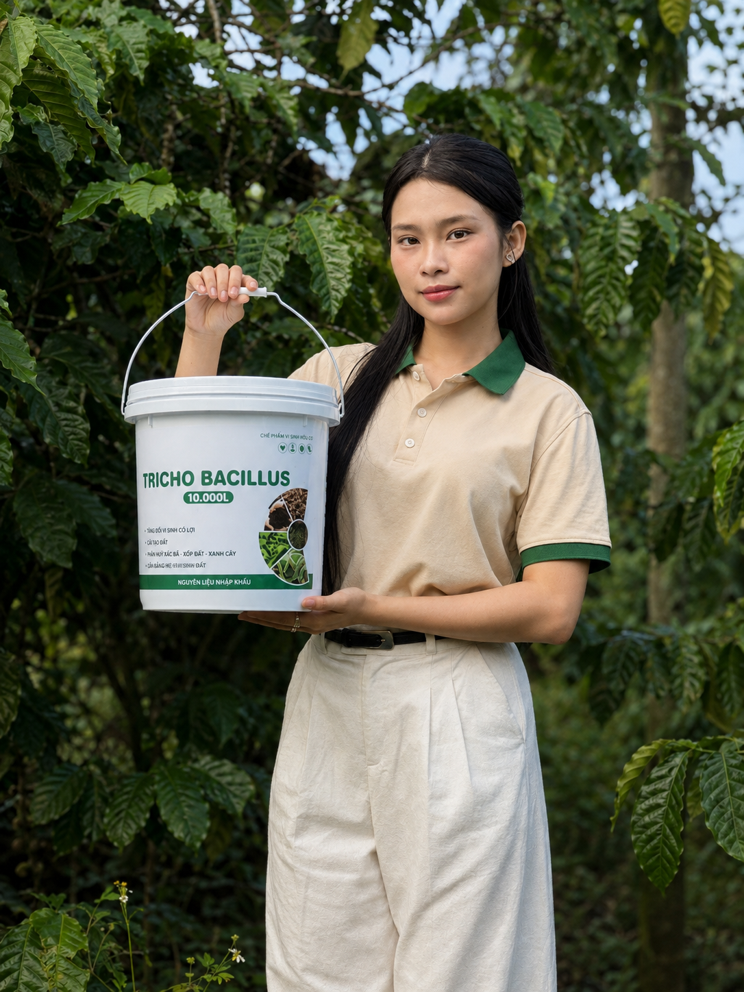 Nông dân sử dụng Tricho Bacillus trong vườn cà phê