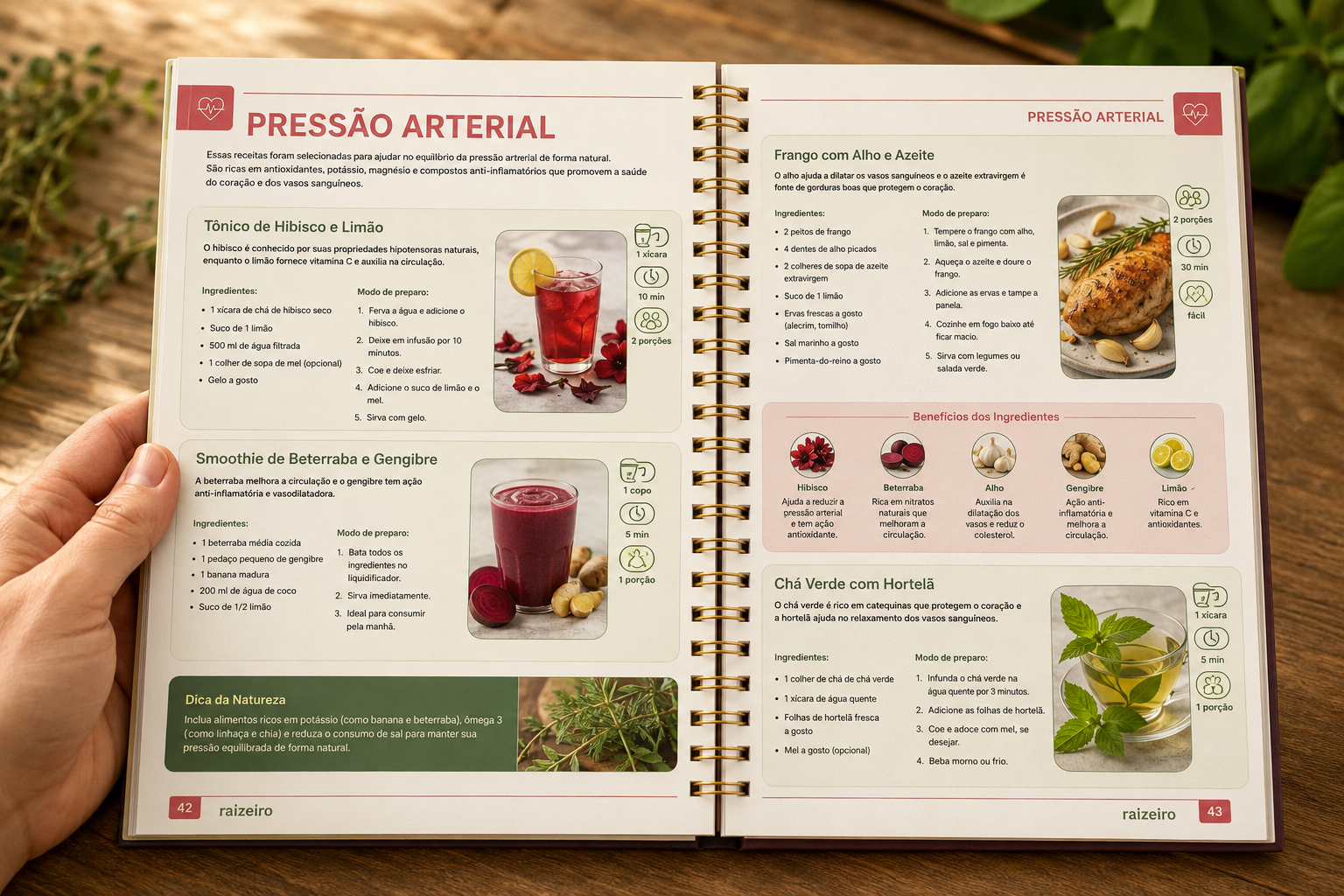 Página interna - Receitas para Pressão Arterial