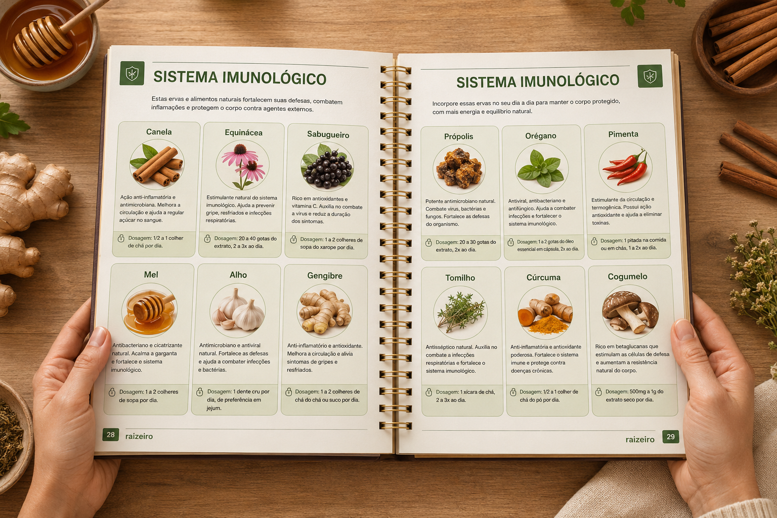 Página interna - Sistema Imunológico