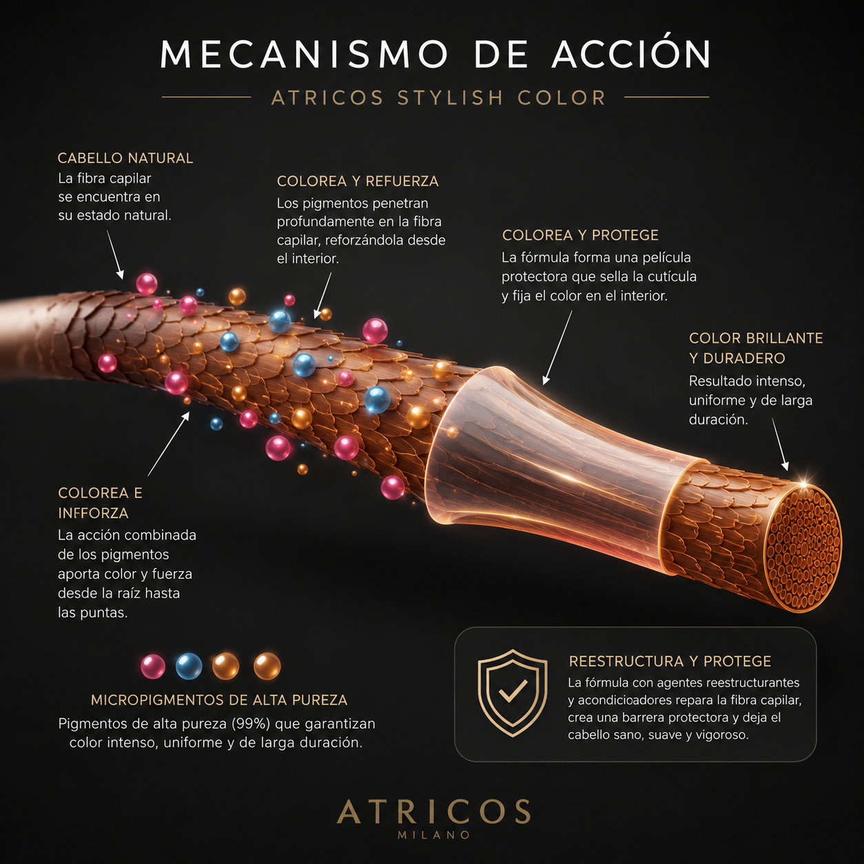 Mecanismo de Acción - Atricos Stylish Color mostrando cómo los pigmentos penetran y protegen la fibra capilar