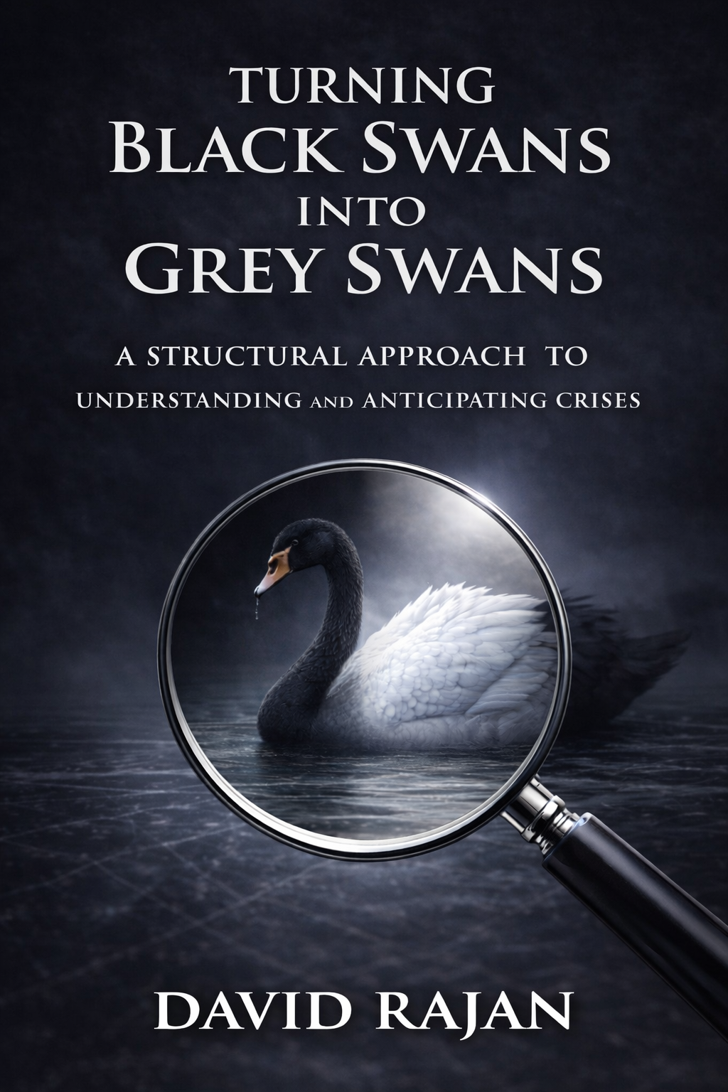 Turning Black Swans into Grey Swans book cover
