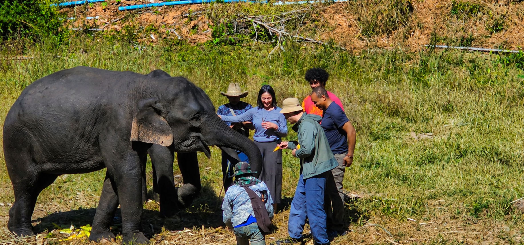 Visitors meeting elephants at ethical sanctuary
