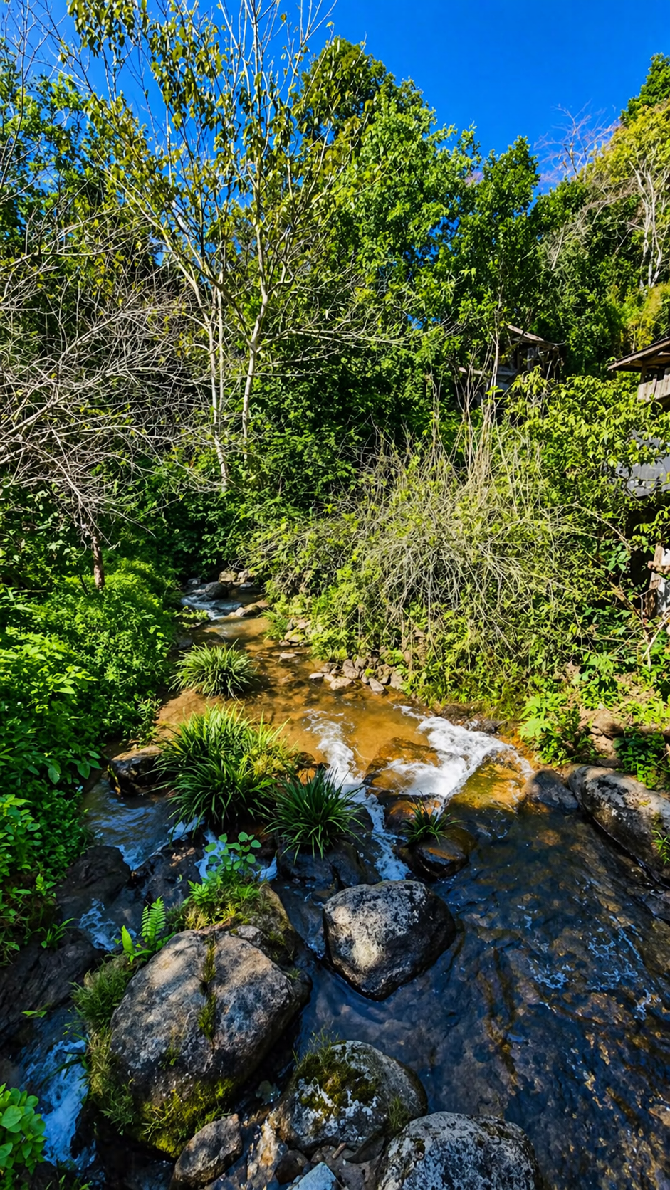 Natural forest stream with rocks in Chiang Mai