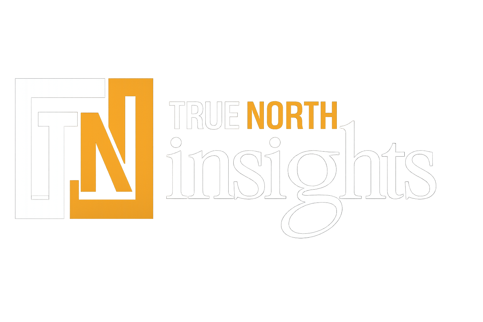 True North Insights