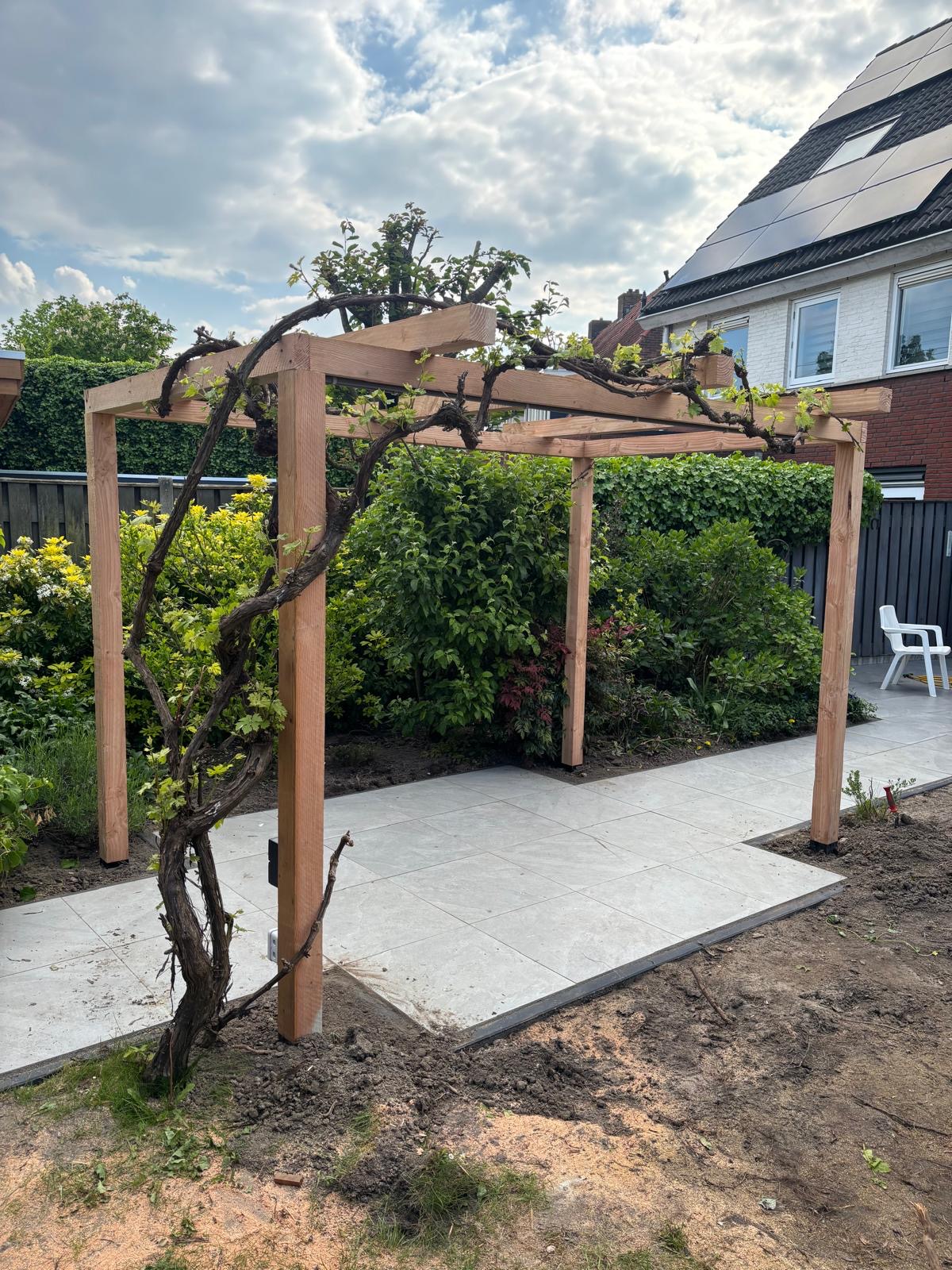 Houten pergola met klimplanten boven een betegeld tuinpad en borders