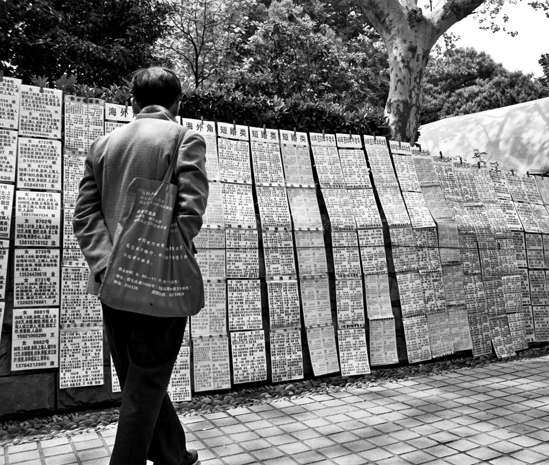 Man from behind looking at wall of posted job listings and classified advertisements