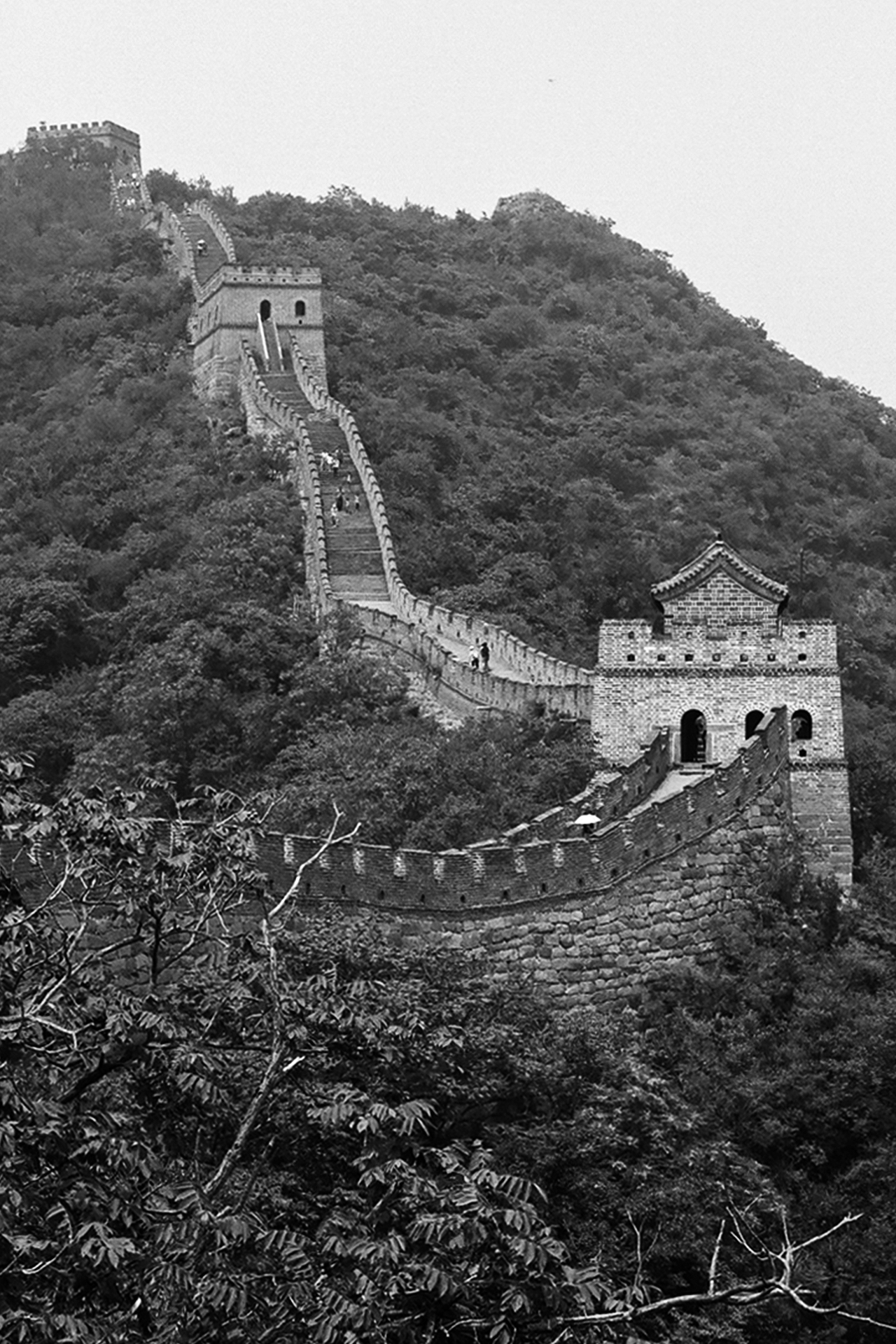 Great Wall section with watchtower and fortification rising through dense forested mountains