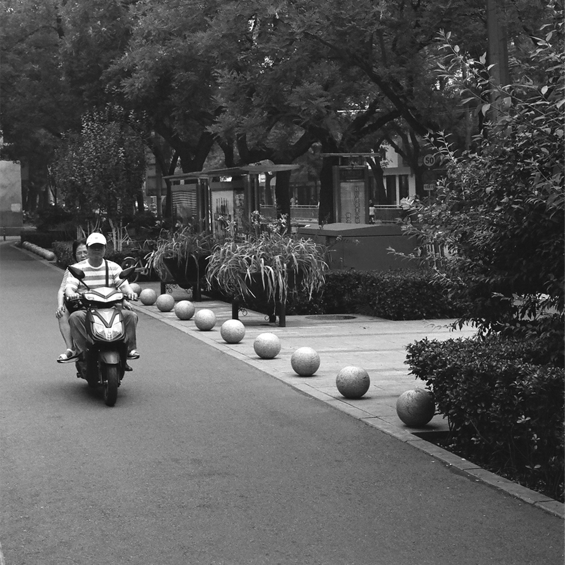 Man on scooter riding on tree-lined street with decorative stone spheres in foreground