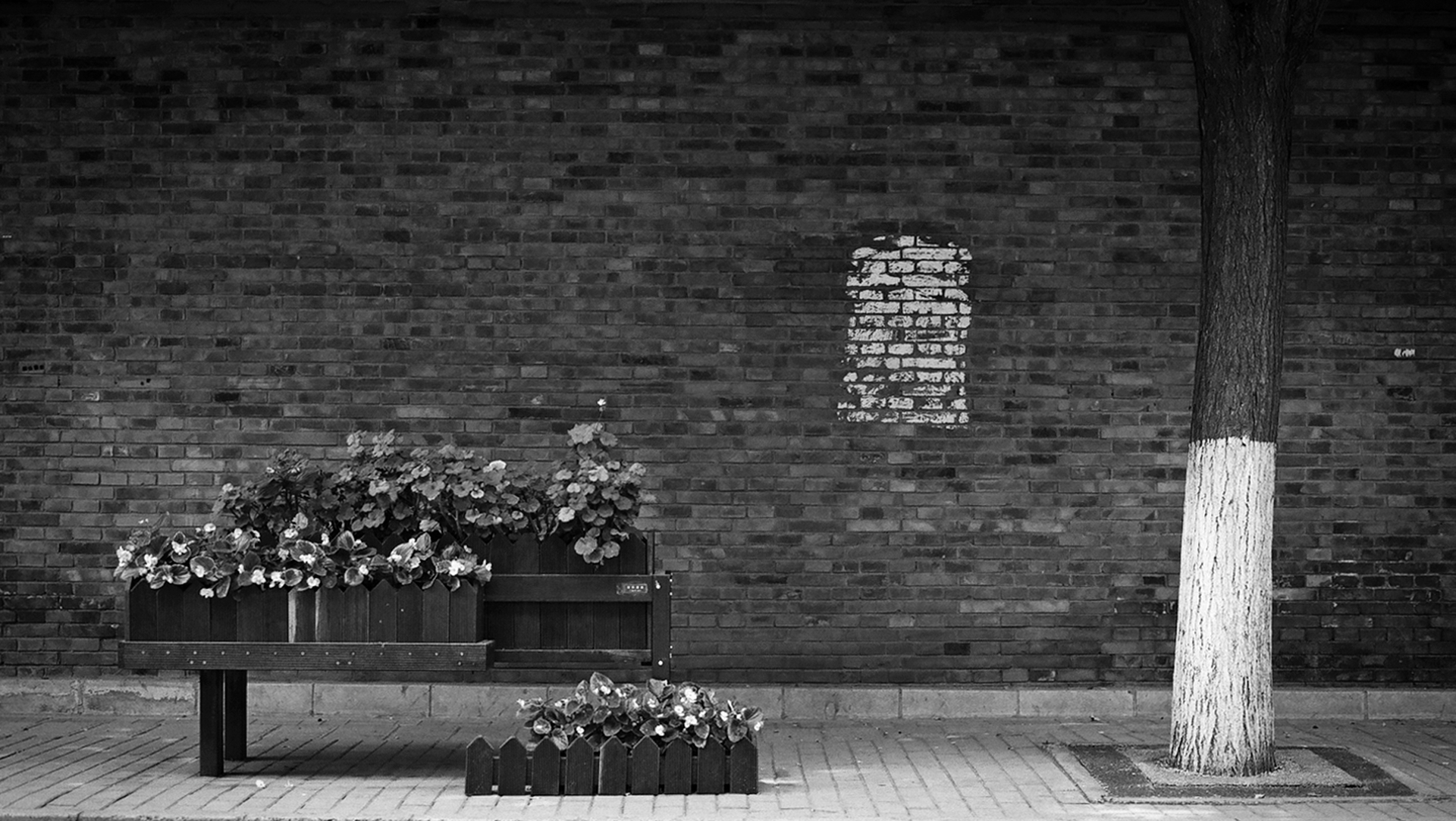 Dark brick wall with white-painted tree trunk and flowering planters against boarded window