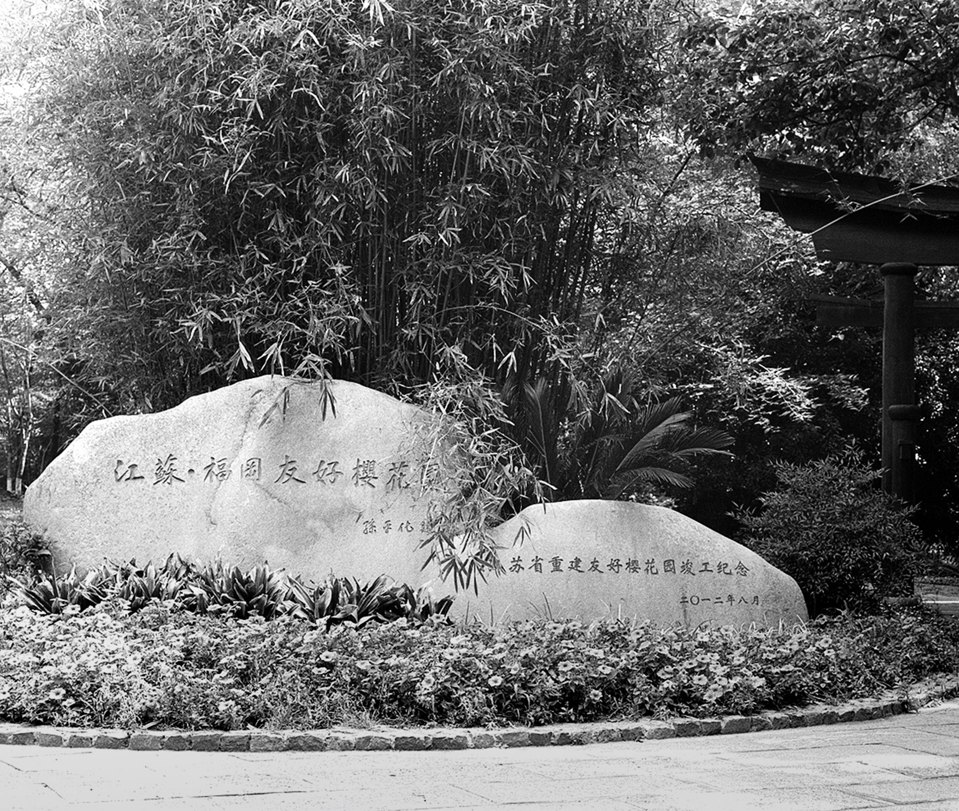 Two carved stones with Chinese characters inscribed in bamboo and vegetation garden setting