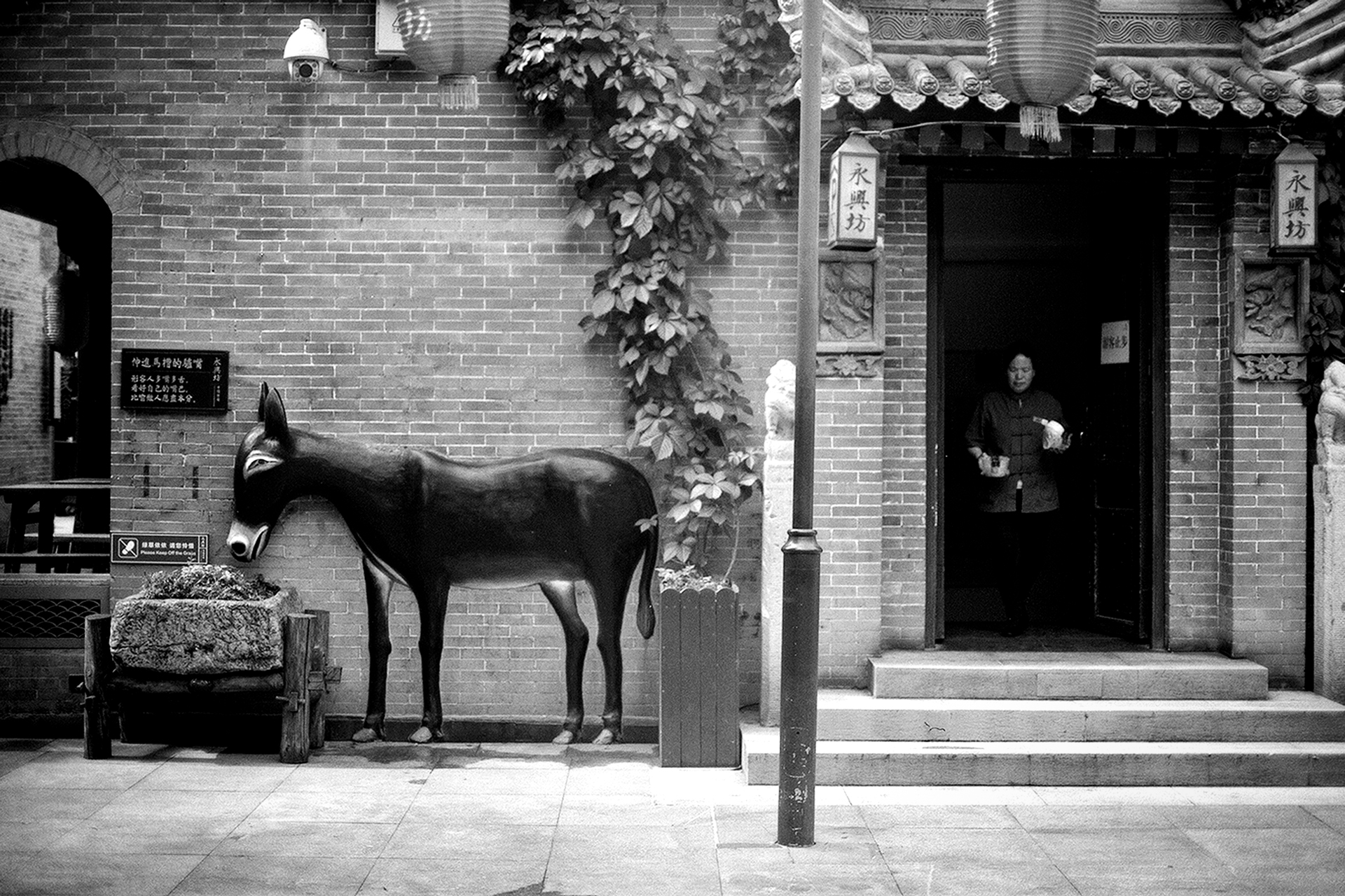 Donkey sculpture standing in courtyard of traditional brick building with ivy-covered walls and signage