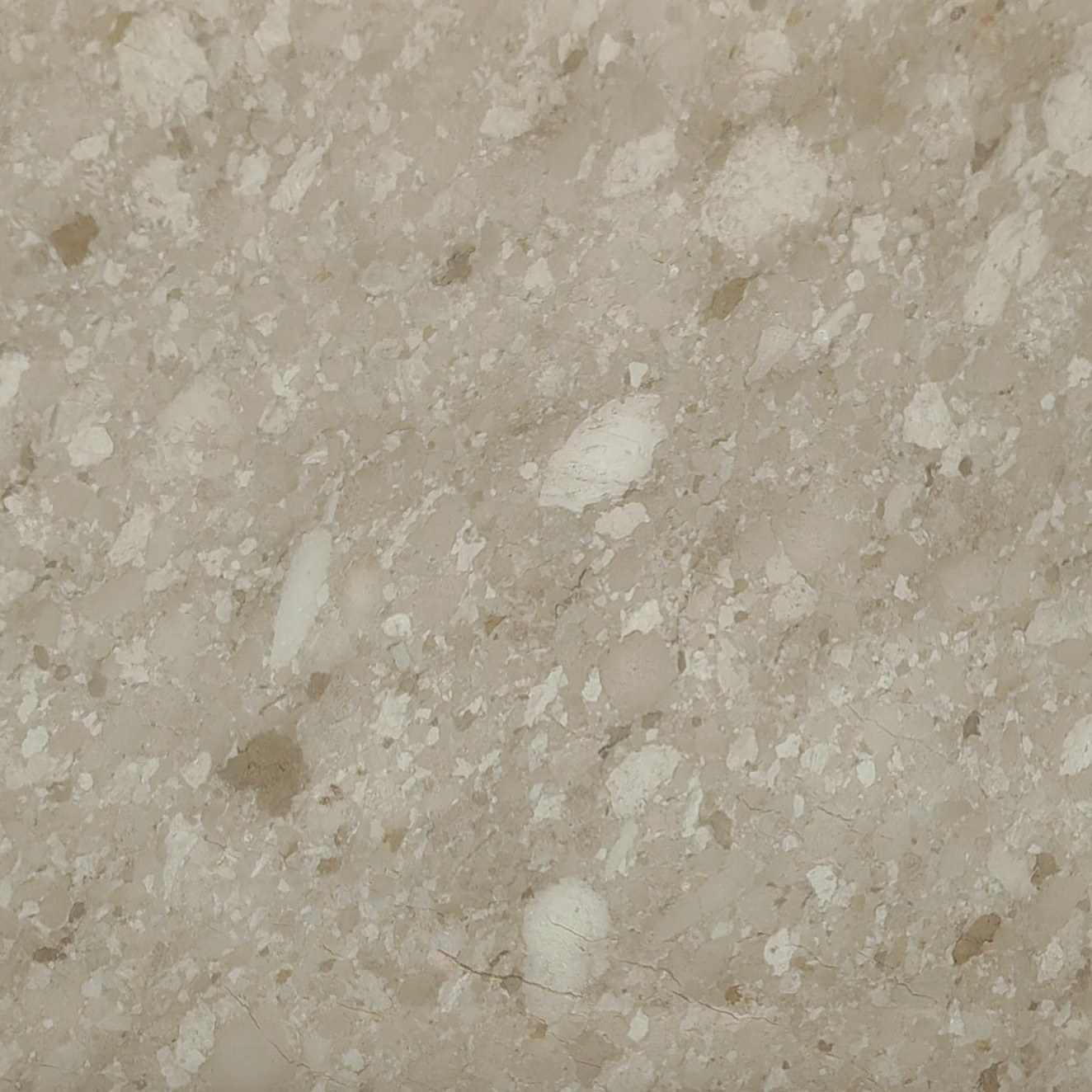 Conglomera beige marble slab