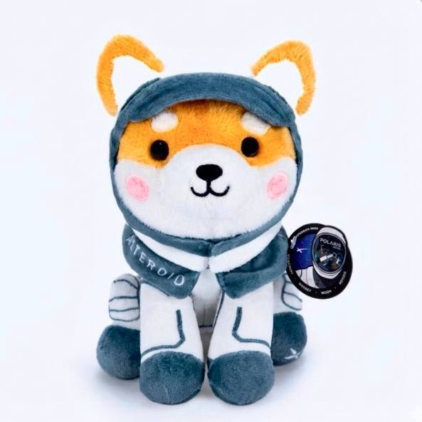 Asteroid Plushie