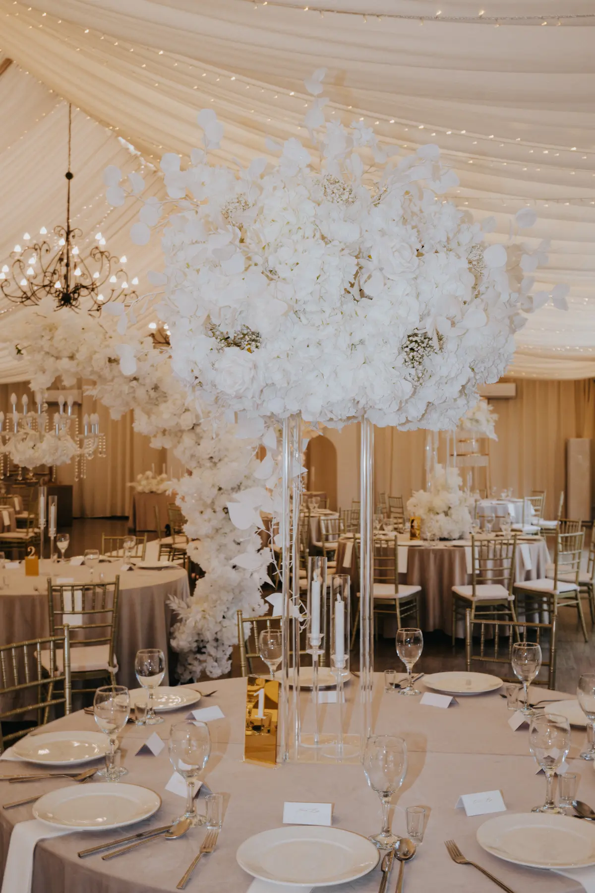 Dagmara & Michał - zdjecie 7