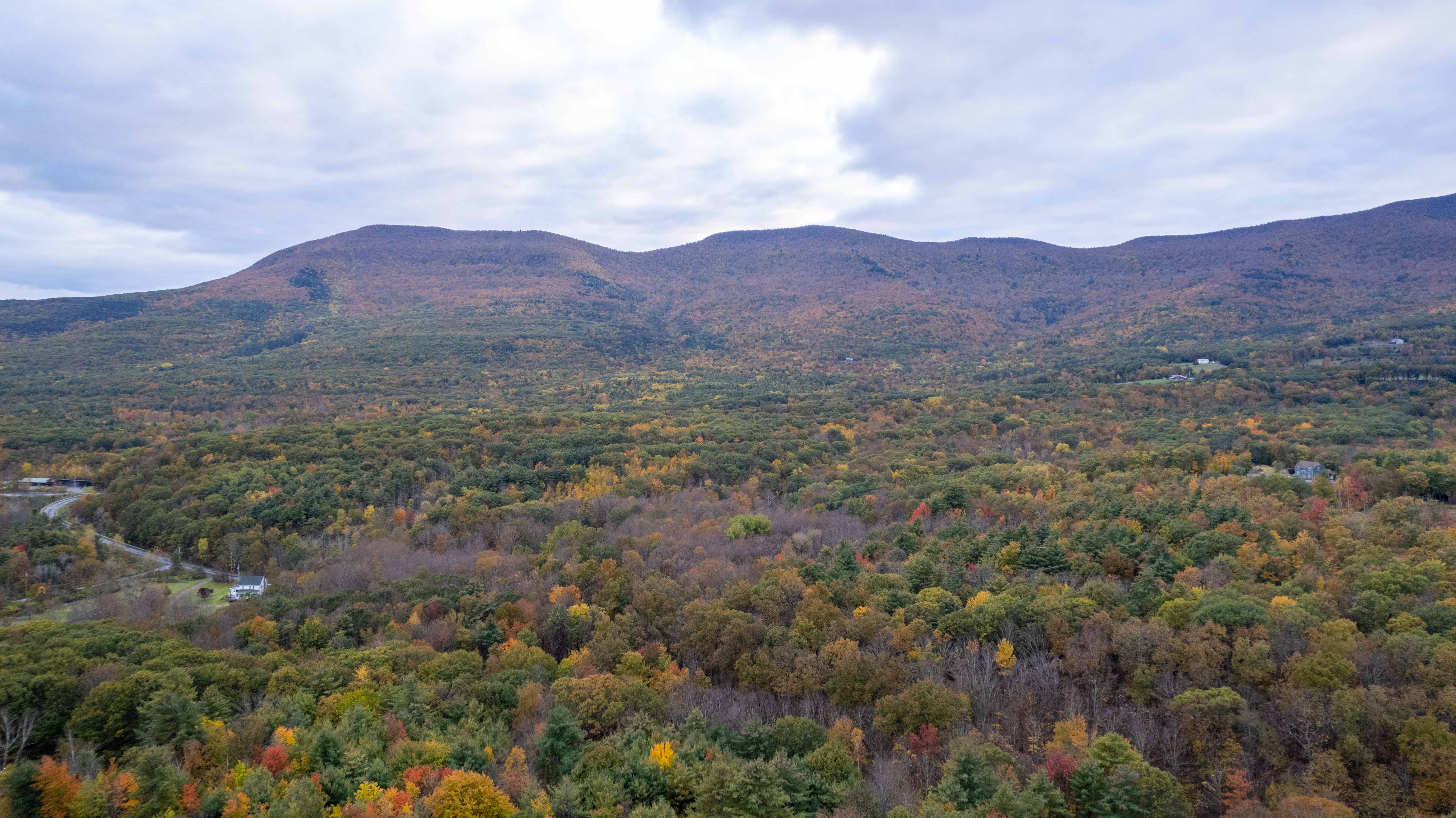 Aerial view of Catskills mountains and forest