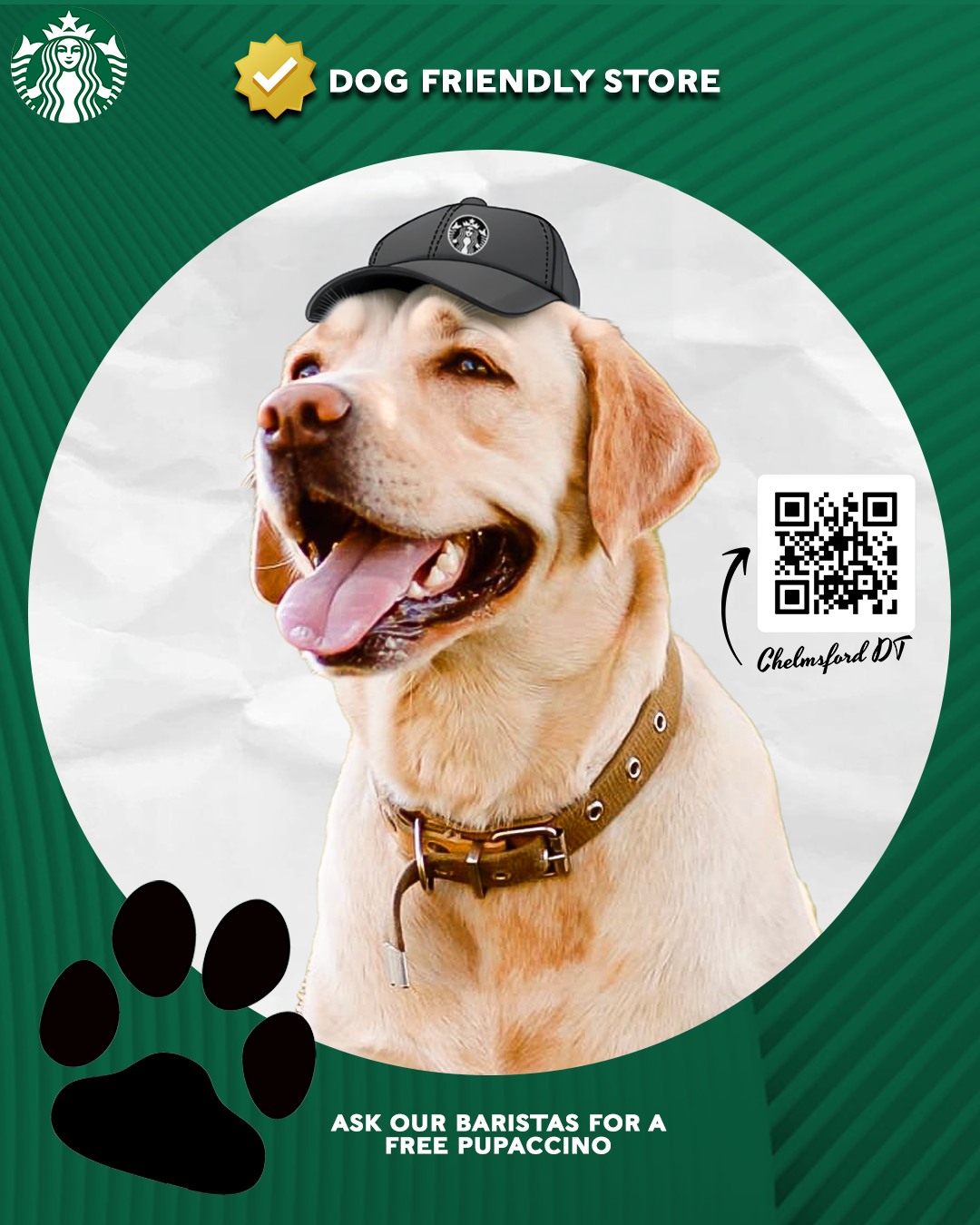 DOG FRIENDLY social media design