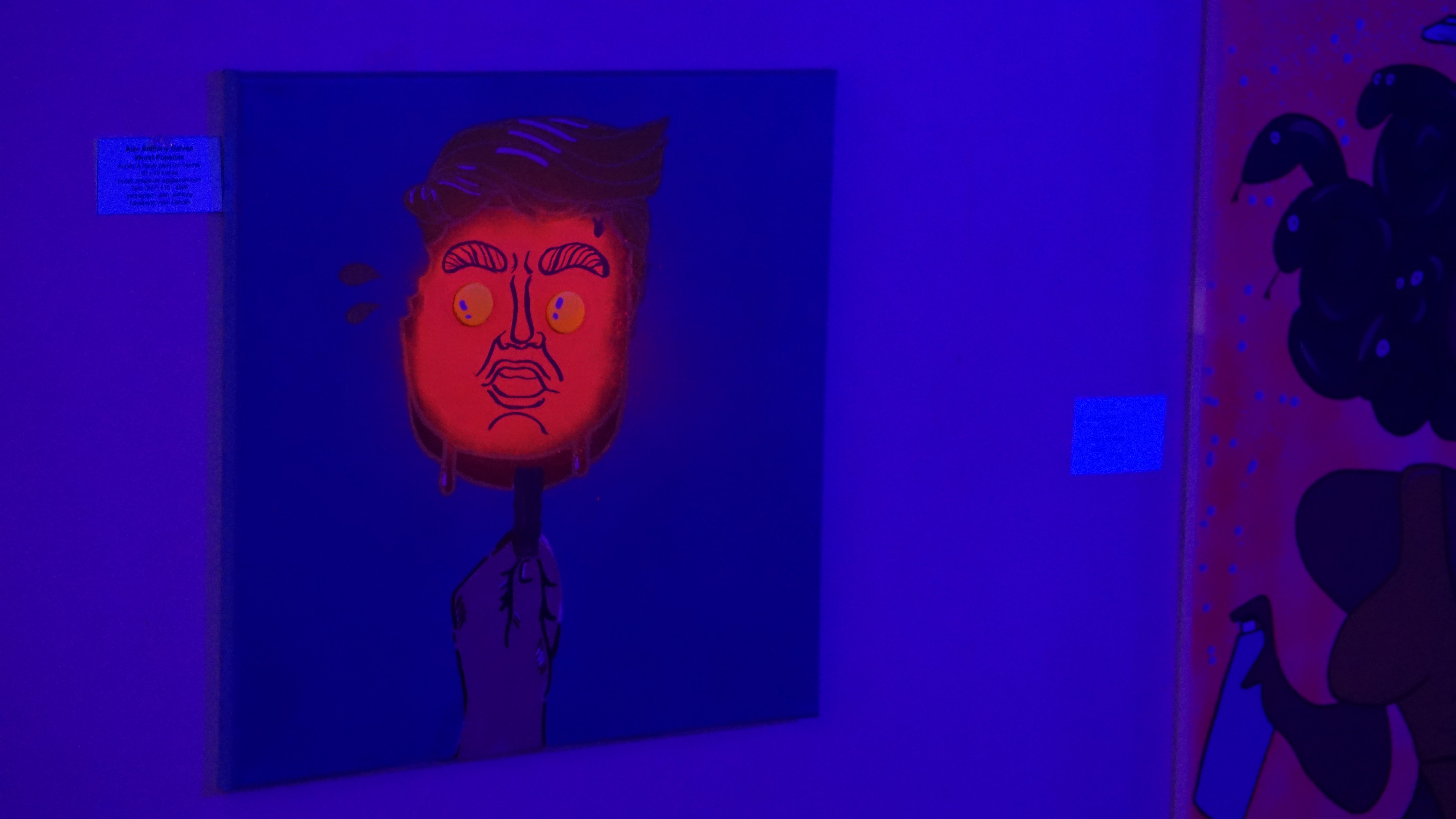 Gallery wall with colorful artwork displays