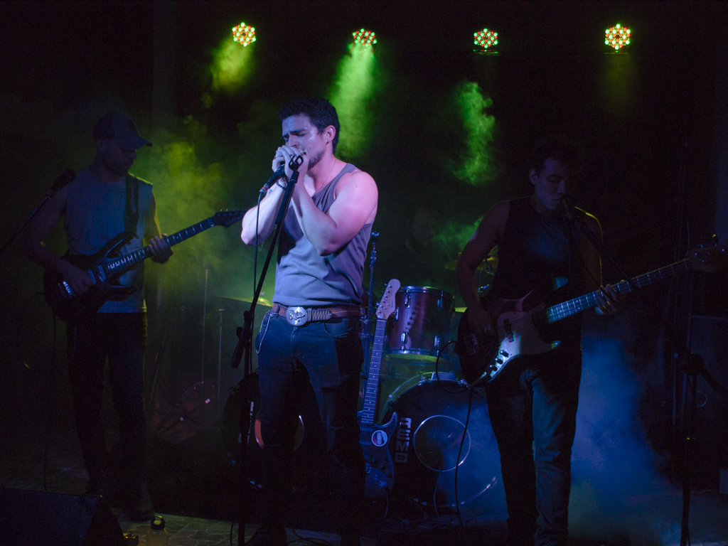 Cantante en concierto