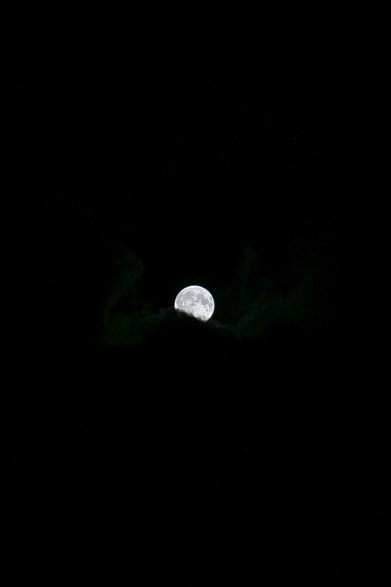 DSC_0450 / Moonlit night