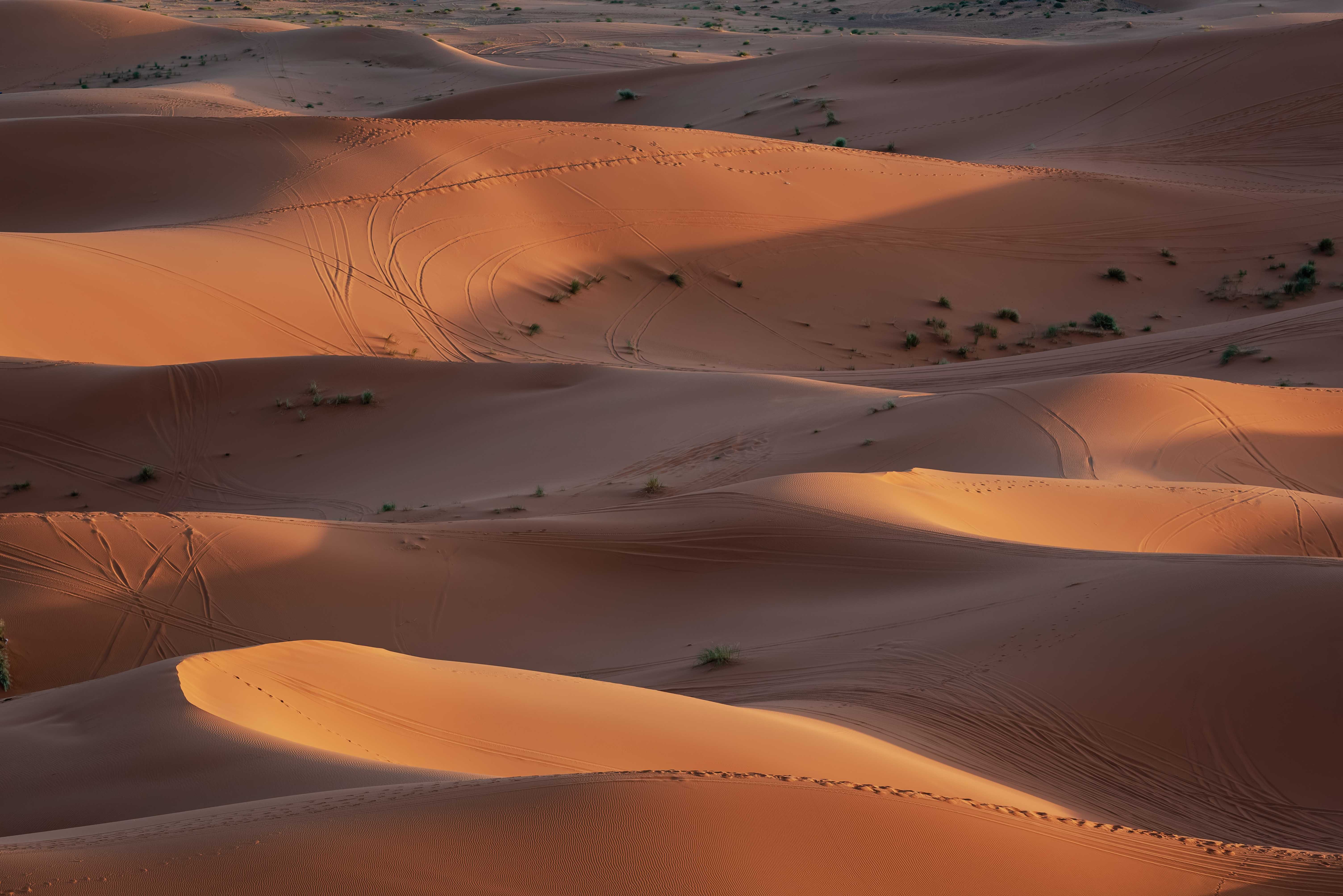 Desert Gateway Escape