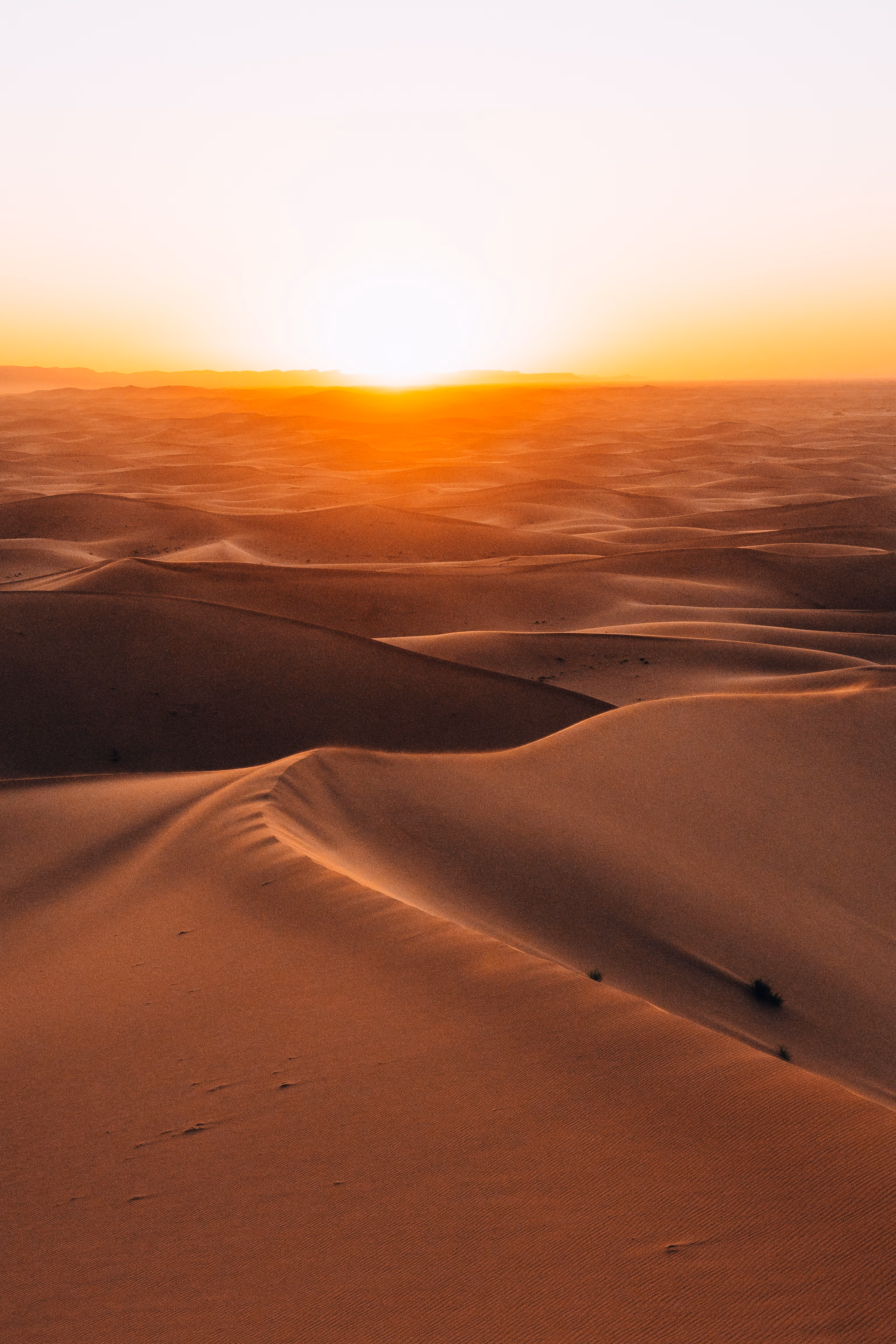 Digital Detox Sahara Retreat