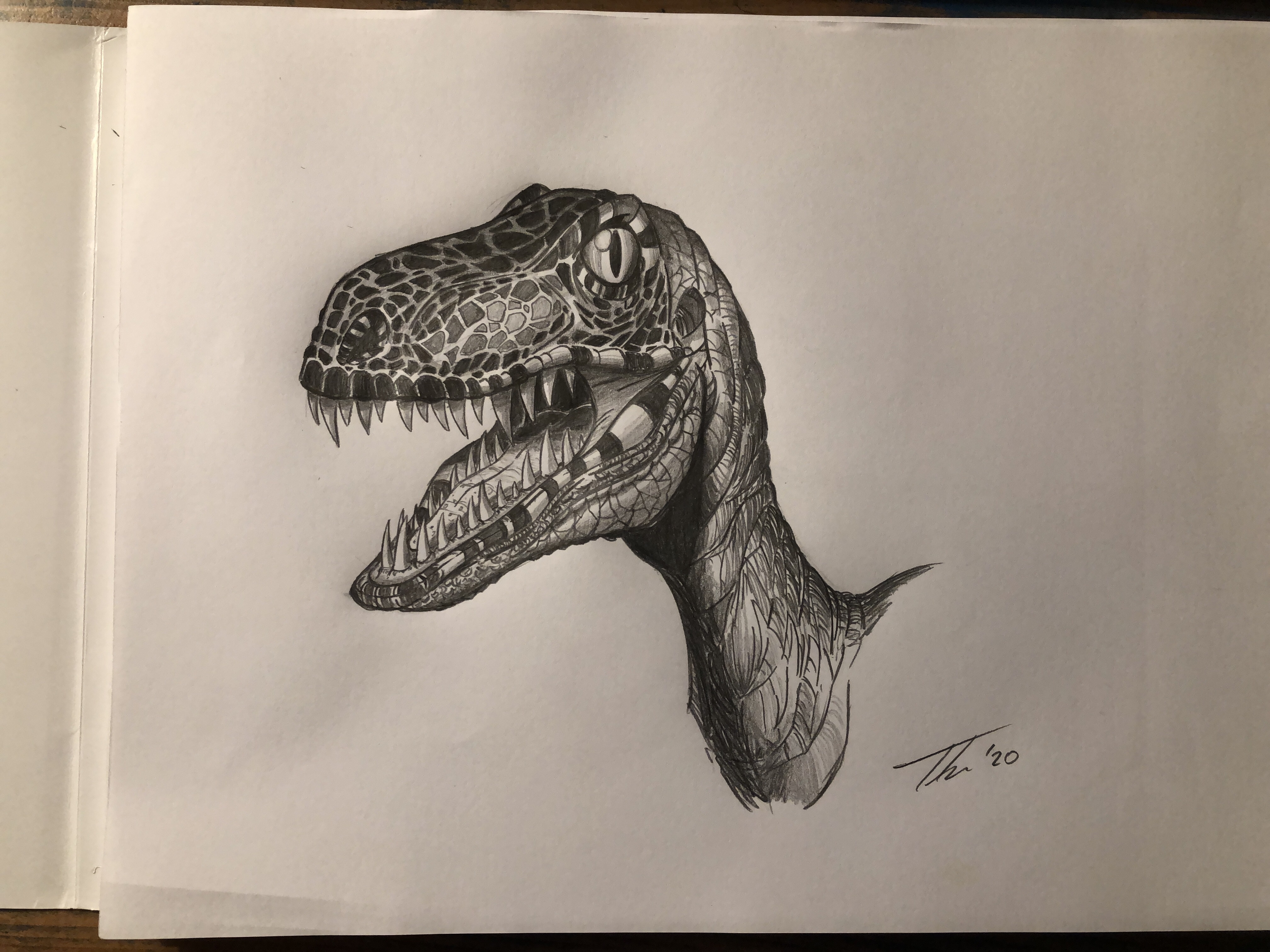 Dinosauri 1