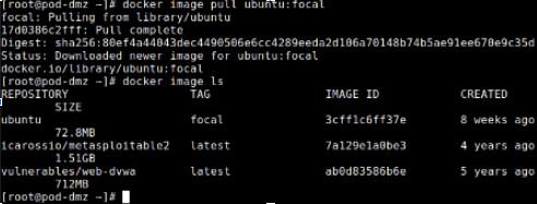 Docker Container Management