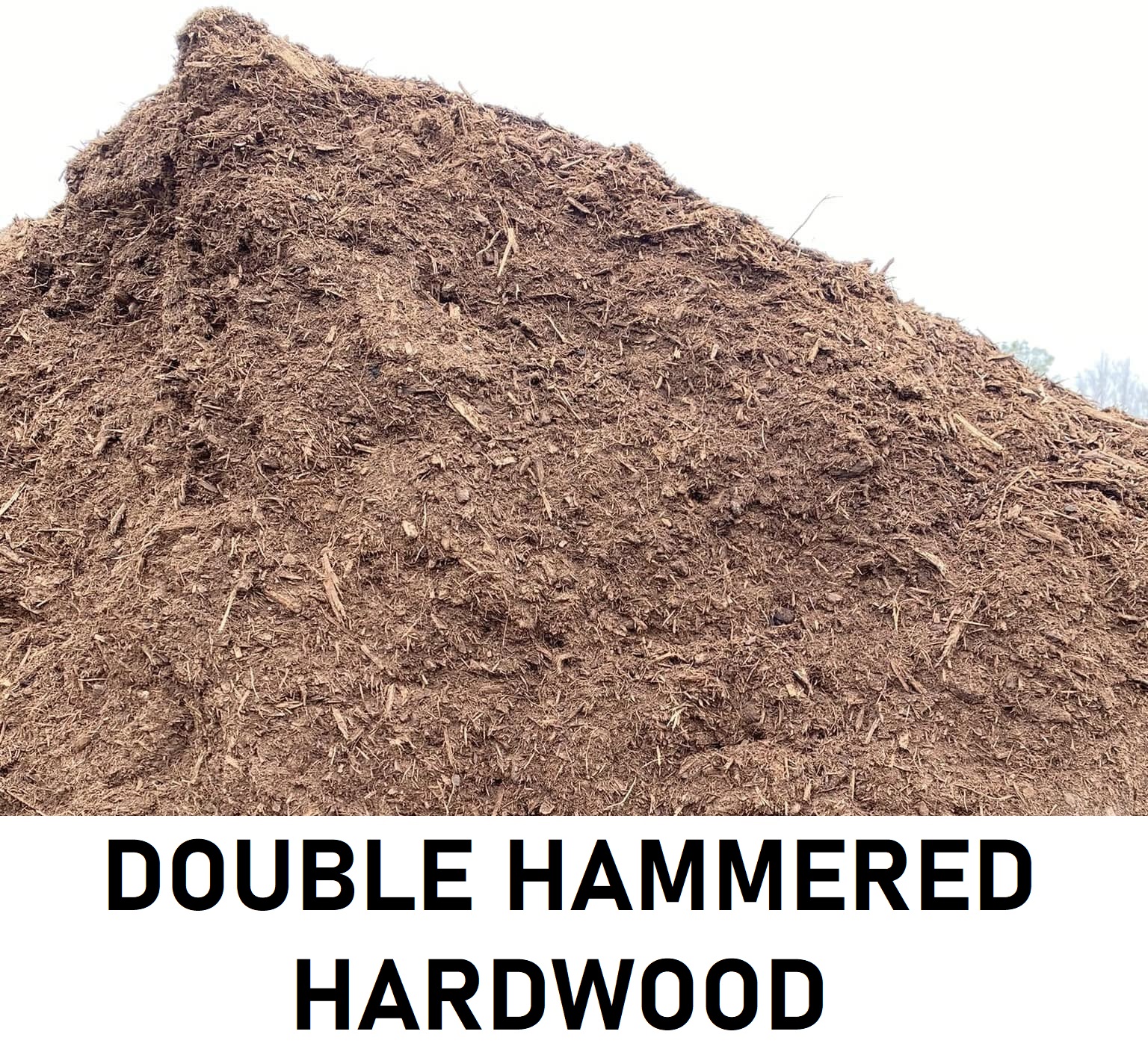 Double Hammered Hardwood