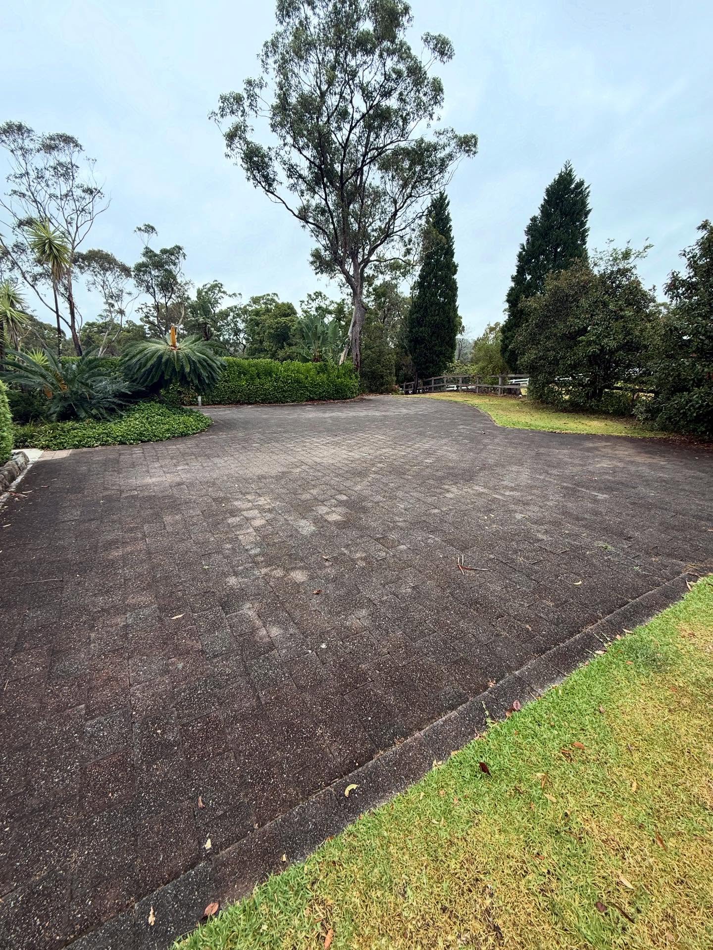 Driveway Restoration - Before