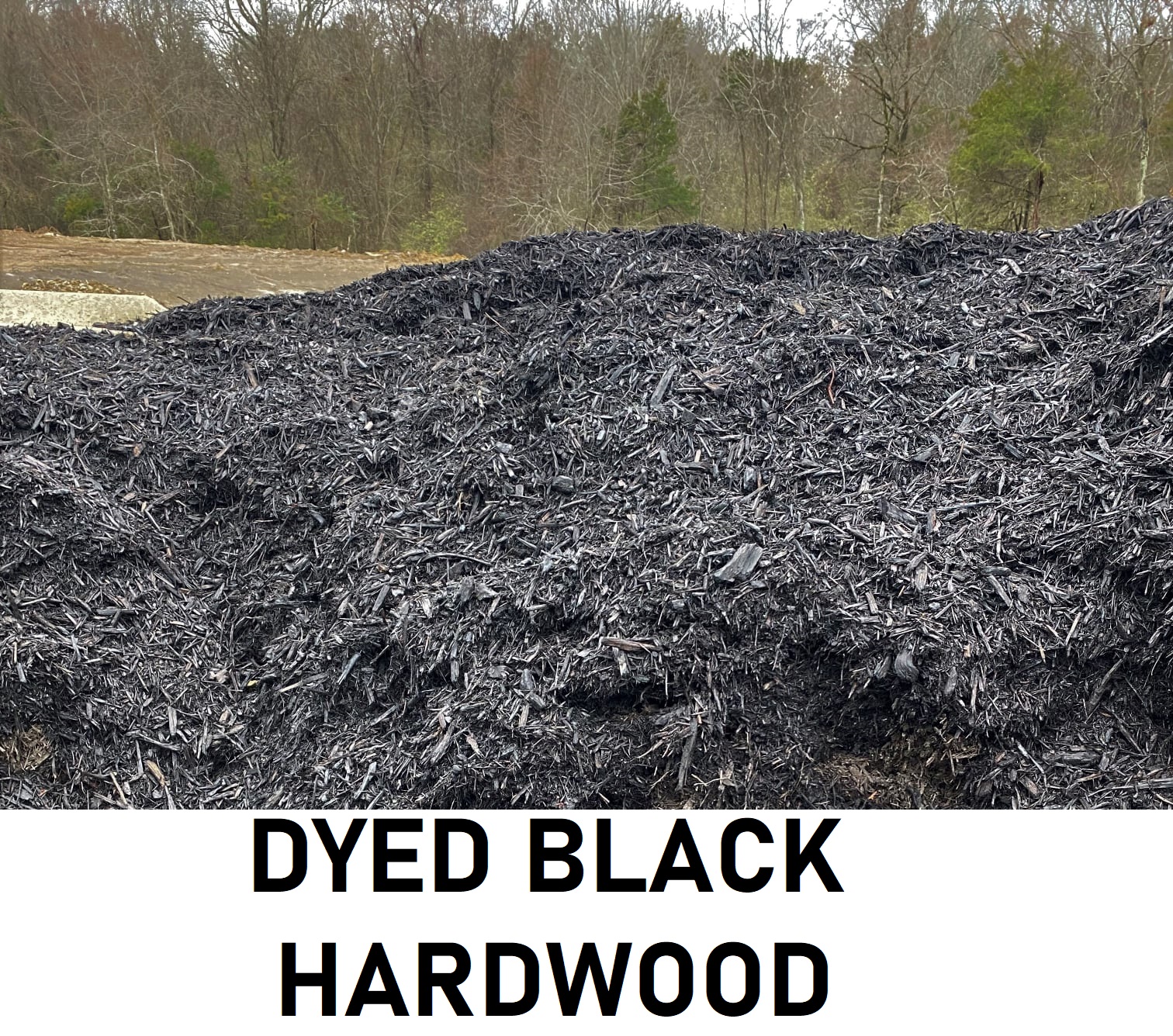 Dyed Black Hardwood
