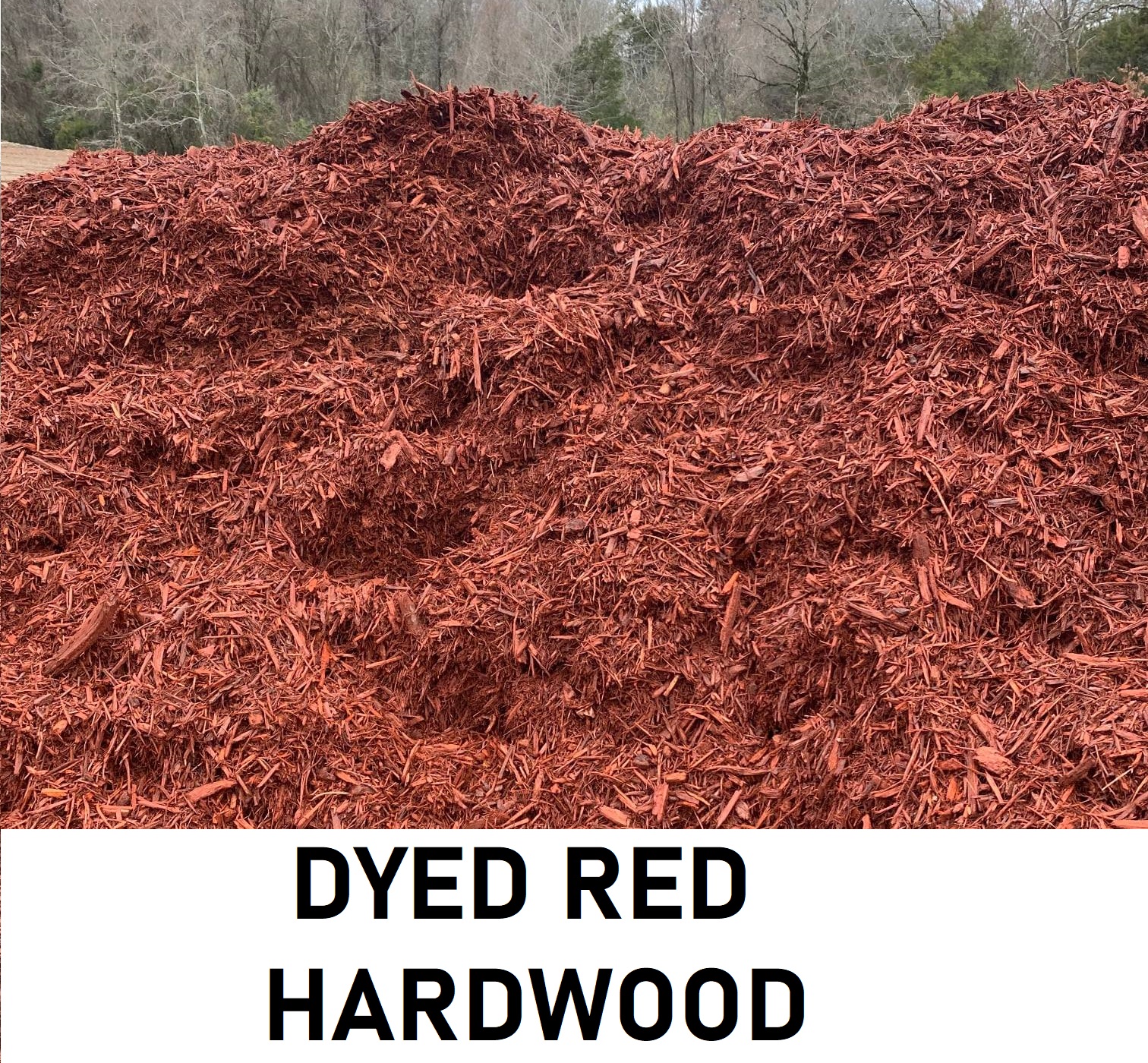 Dyed Red Hardwood