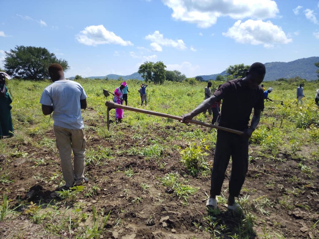 Agricultural Livelihoods Program