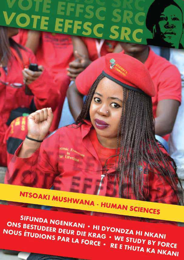 EFFSC SRC portfolio project