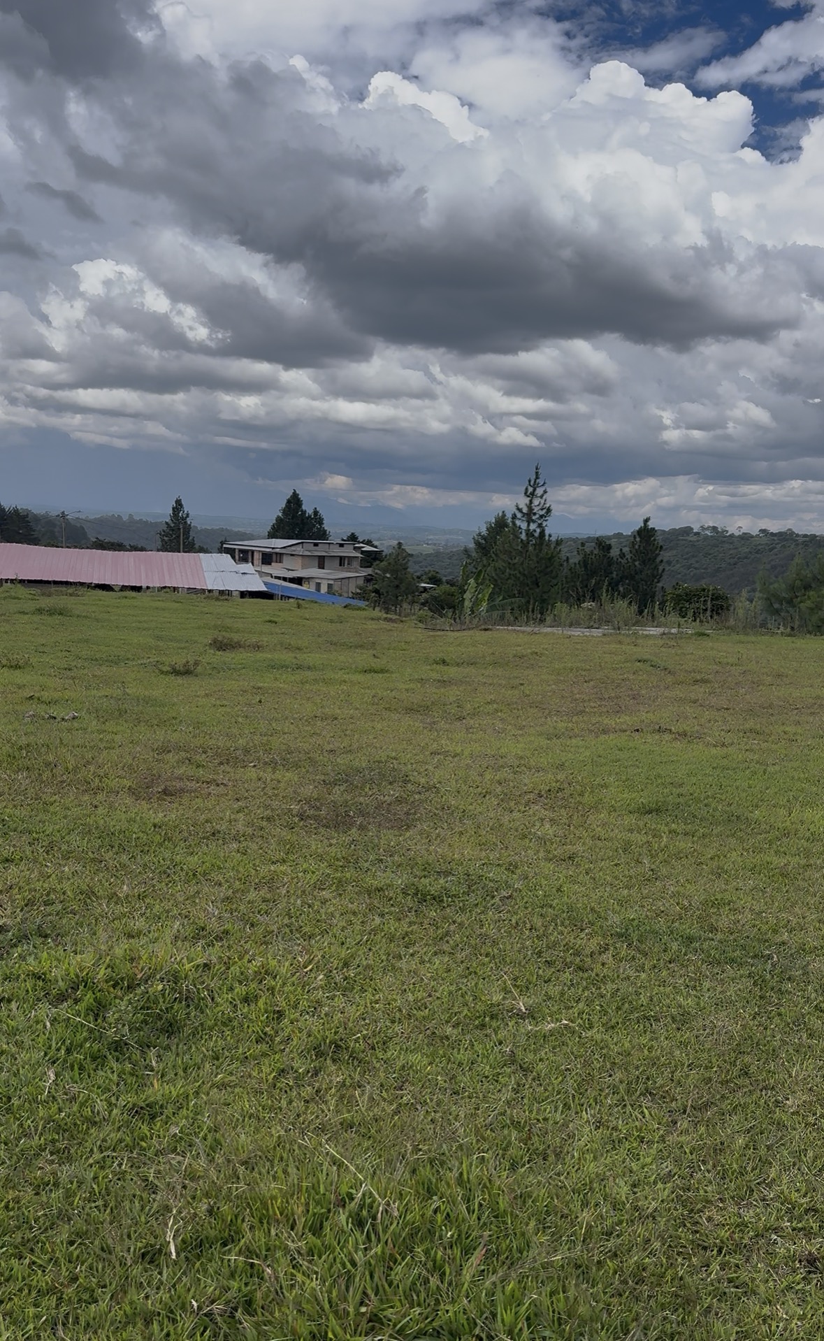 El Cortijo