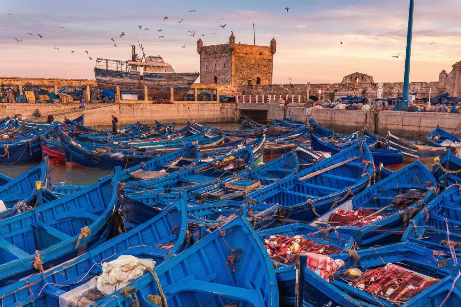 Essaouira Coastal Escape