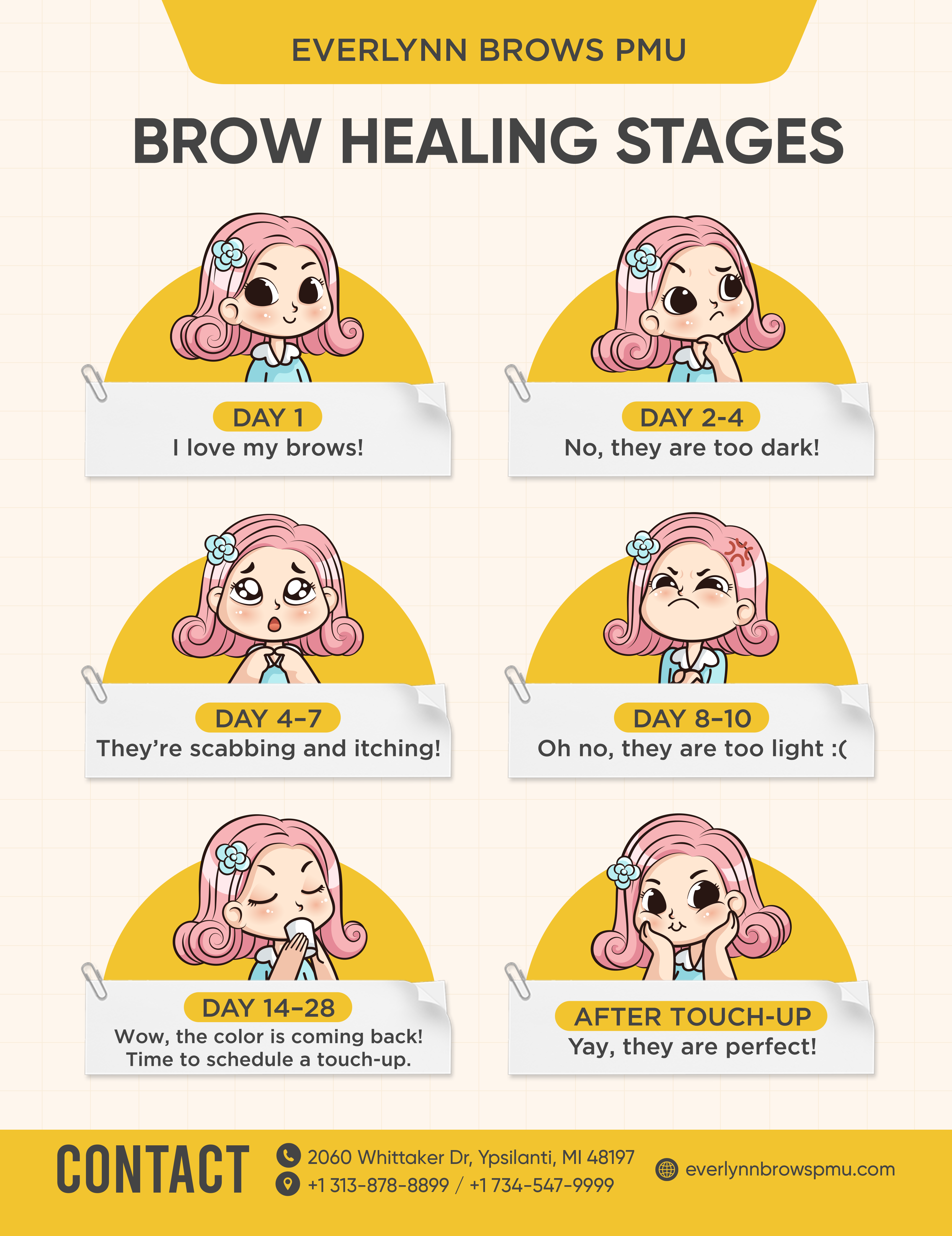 Brow Healing Stages - Day by day guide showing what to expect during the healing process from day 1 to touch-up