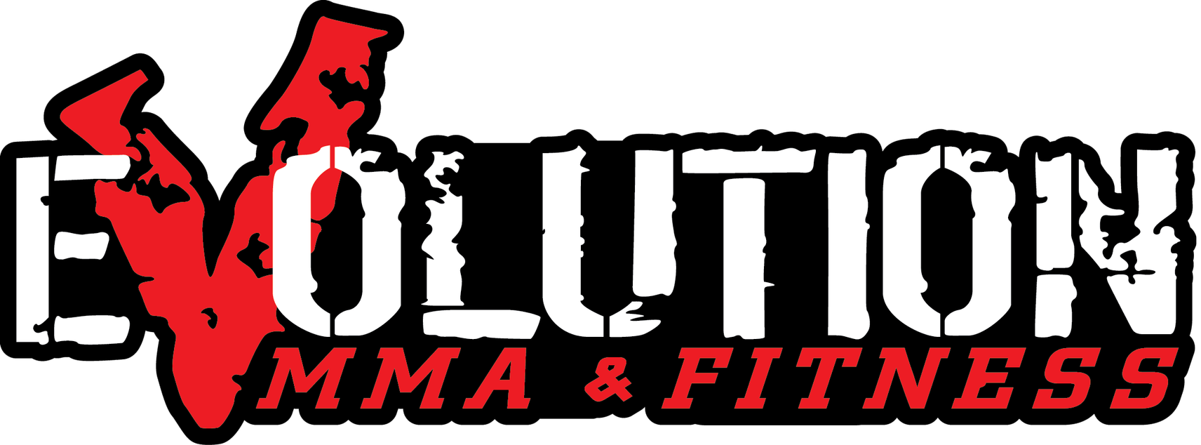 Evolution MMA Logo