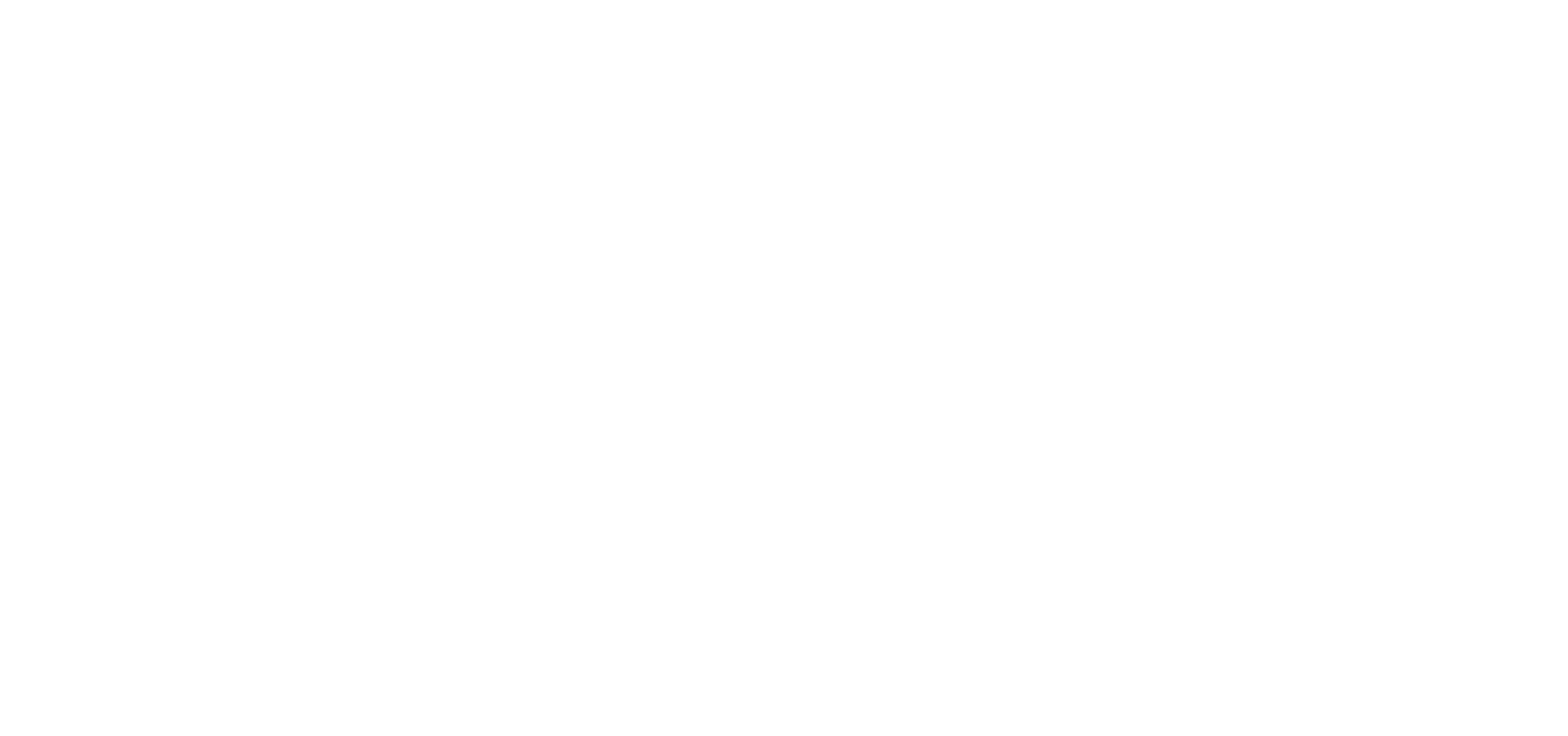 Freedom Fight Logo