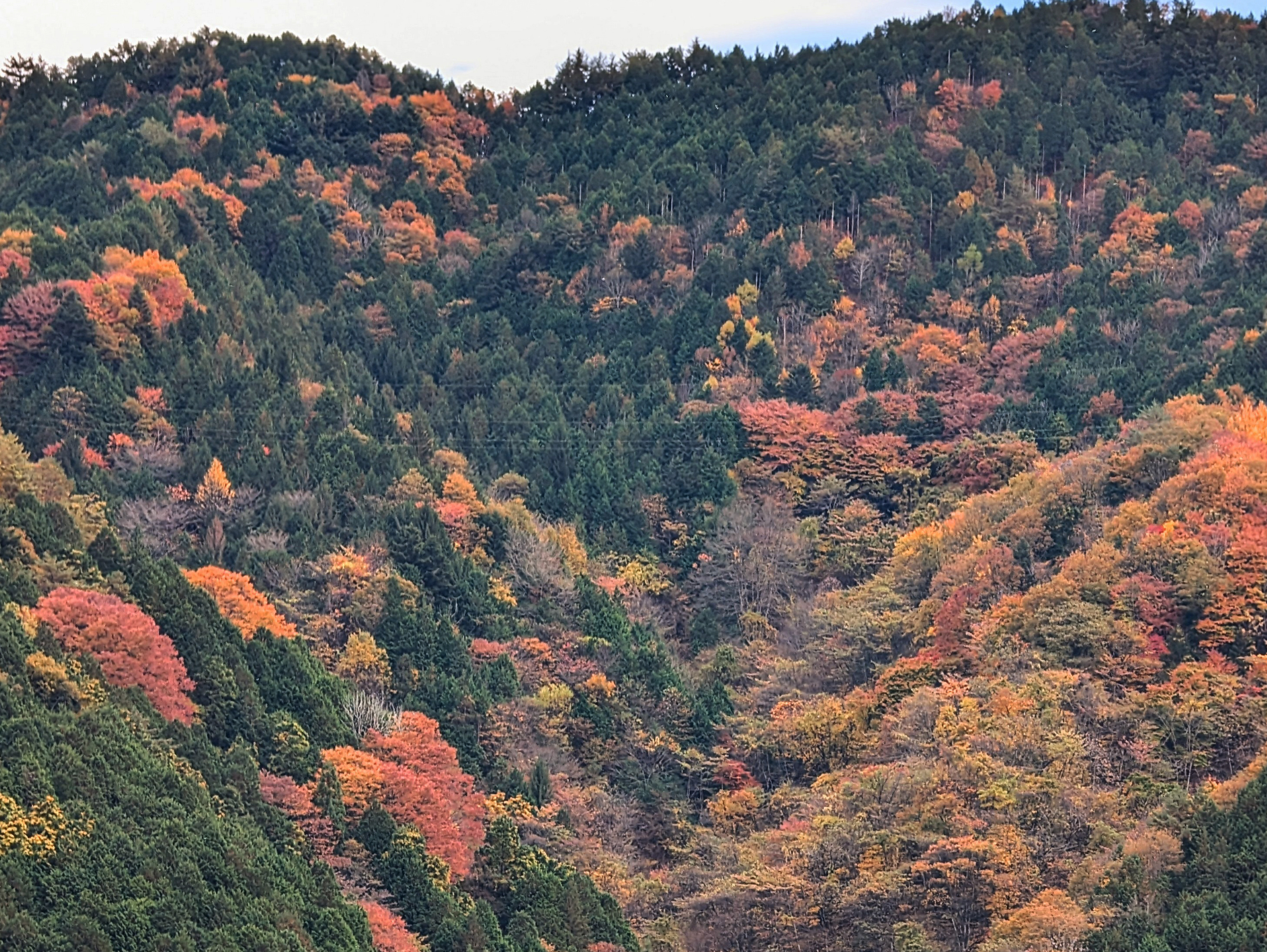 Autumn
