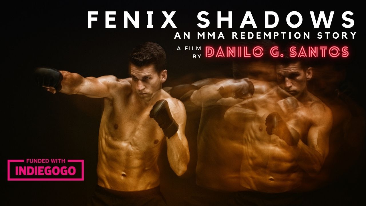 Fenix Shadows — Indiegogo-funded key art, fighter throwing a punch